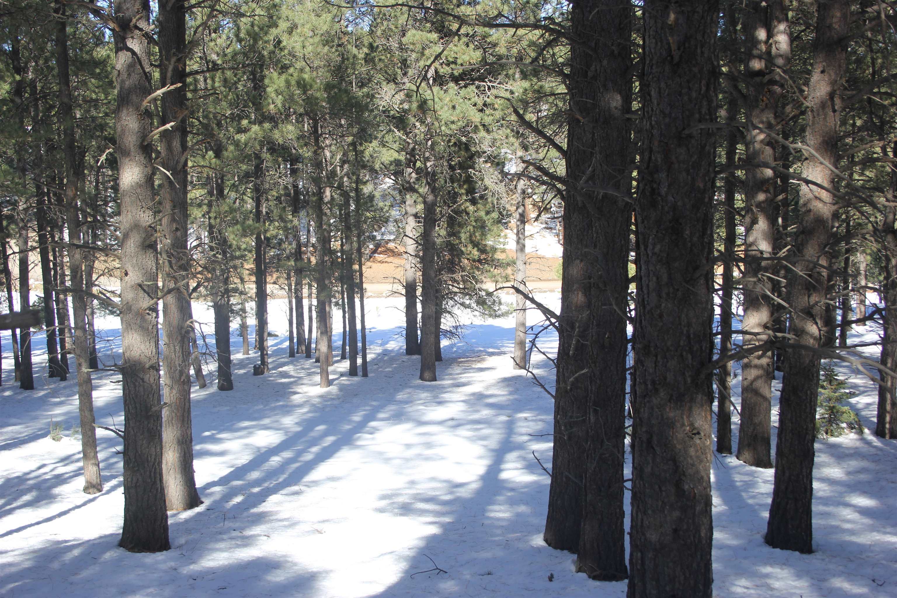 Lot 608 Via Del Rey, Angel Fire, New Mexico image 7