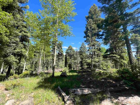 Photo of Lot 183 Taos Drive, Angel Fire, NM 87710 (MLS # 111914)