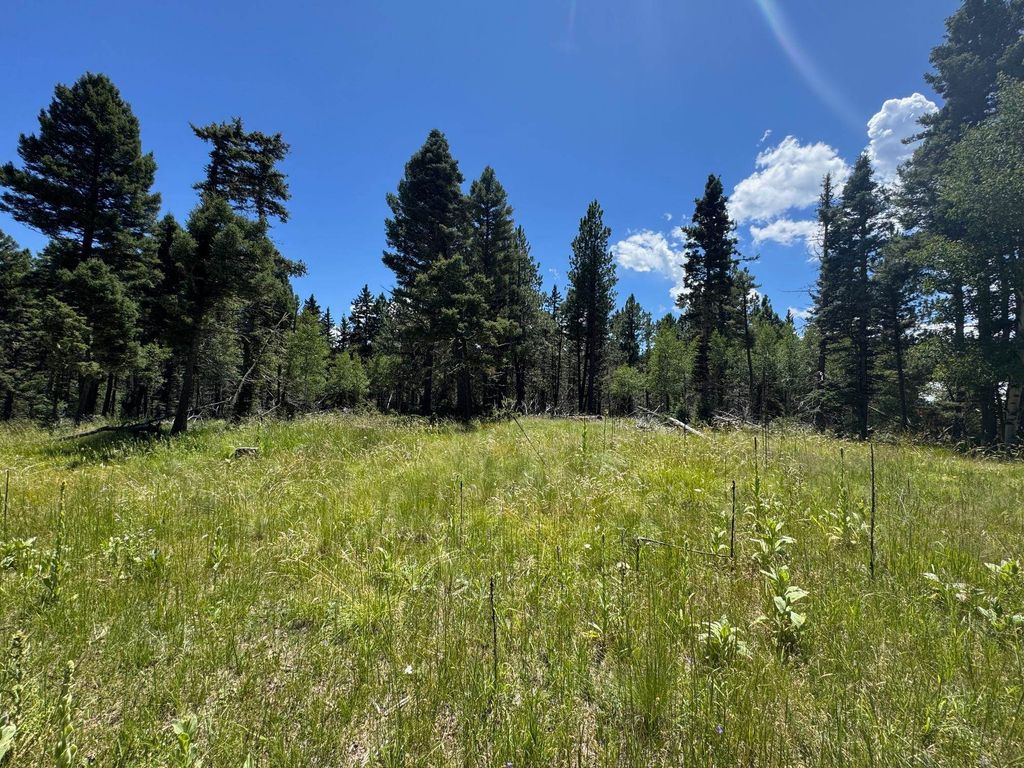 Photo of Lot 73 Calle de los Indios, Angel Fire, NM 87710 (MLS # 113814)