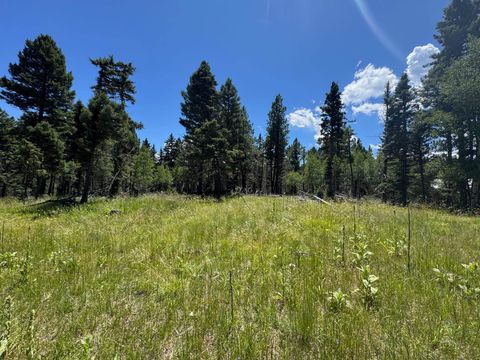 Photo of Lot 73 Calle de los Indios, Angel Fire, NM 87710 (MLS # 113814)