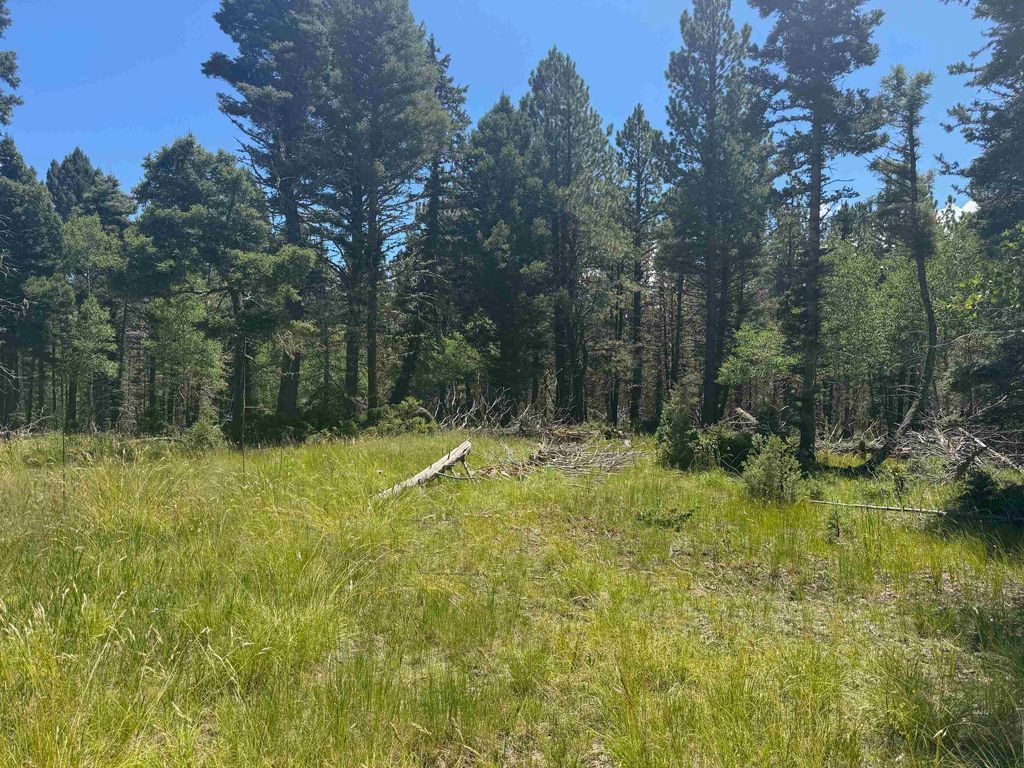 Photo of Lot 73 Calle de los Indios, Angel Fire, NM 87710 (MLS # 113814)