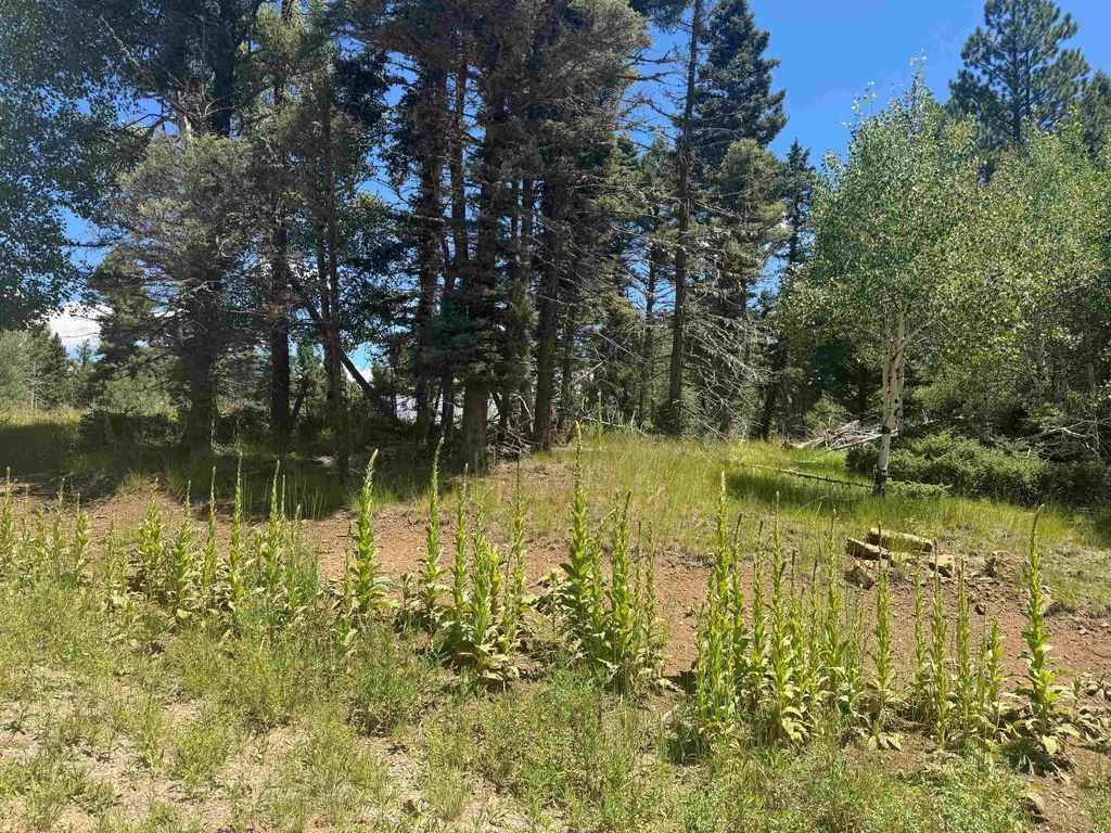 Photo of Lot 73 Calle de los Indios, Angel Fire, NM 87710 (MLS # 113814)