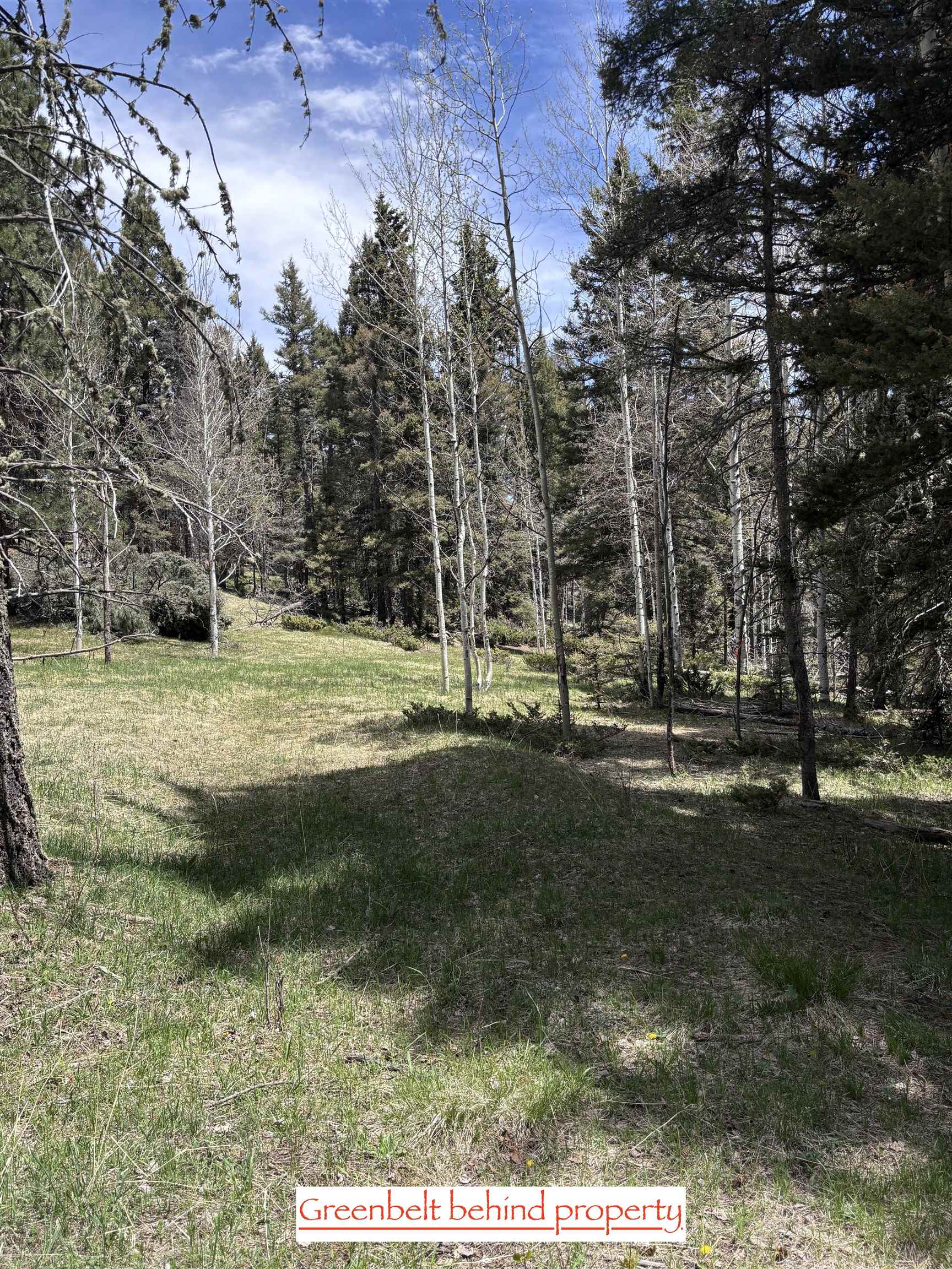 Lot 832 Via Del Rey, Angel Fire, New Mexico image 16