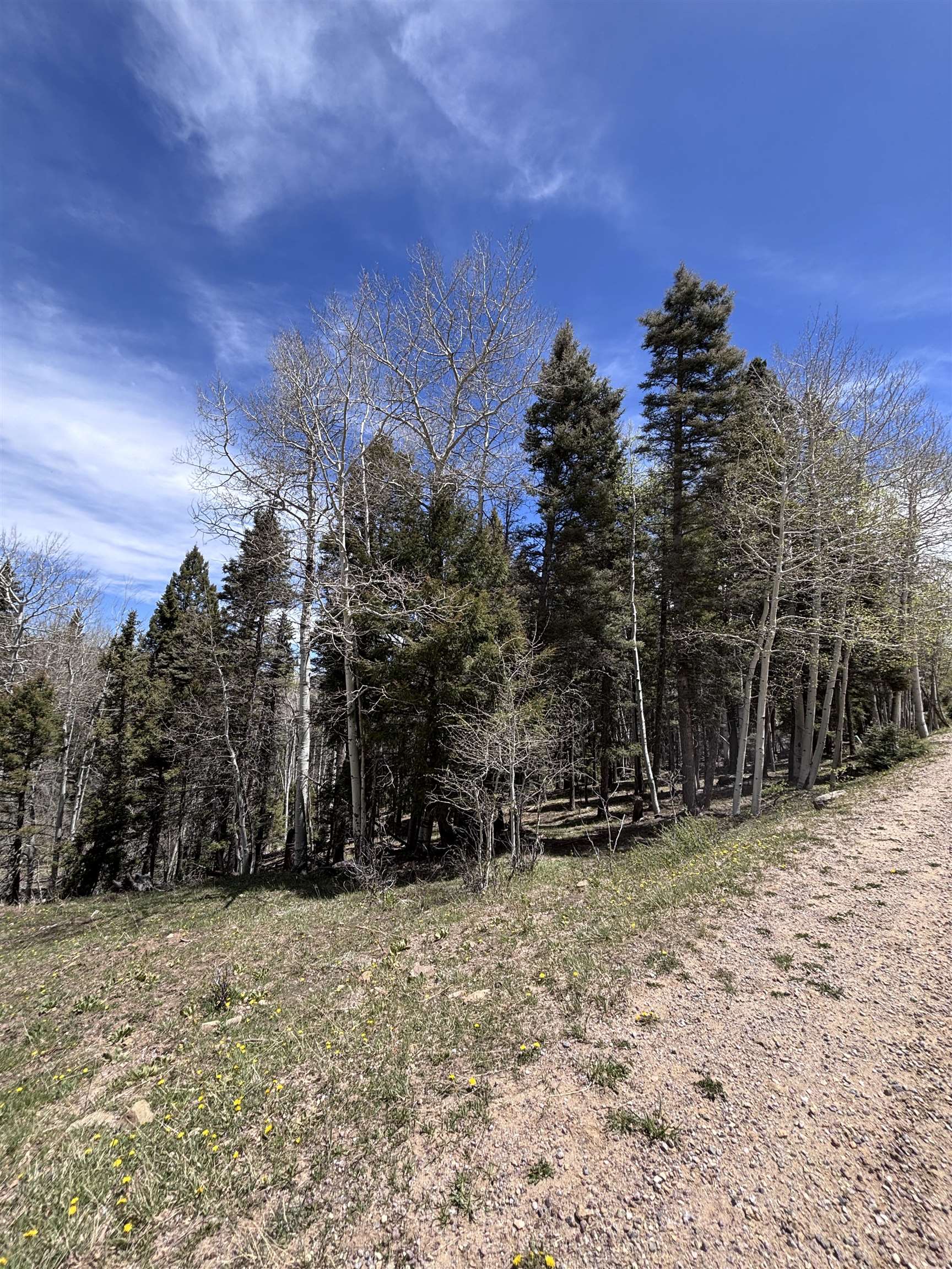 Lot 832 Via Del Rey, Angel Fire, New Mexico image 4