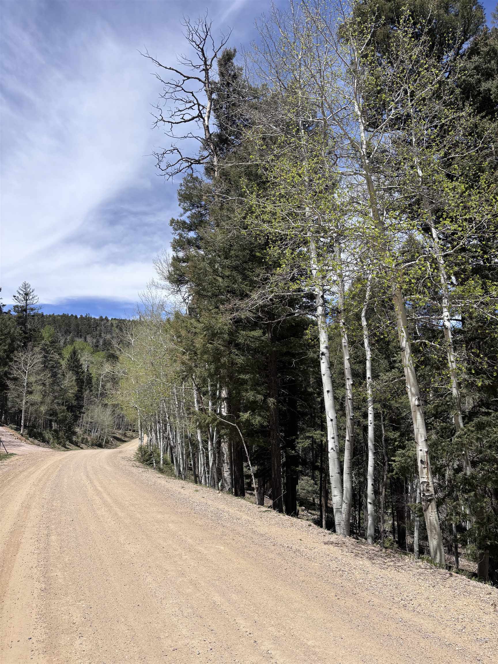 Lot 832 Via Del Rey, Angel Fire, New Mexico image 1