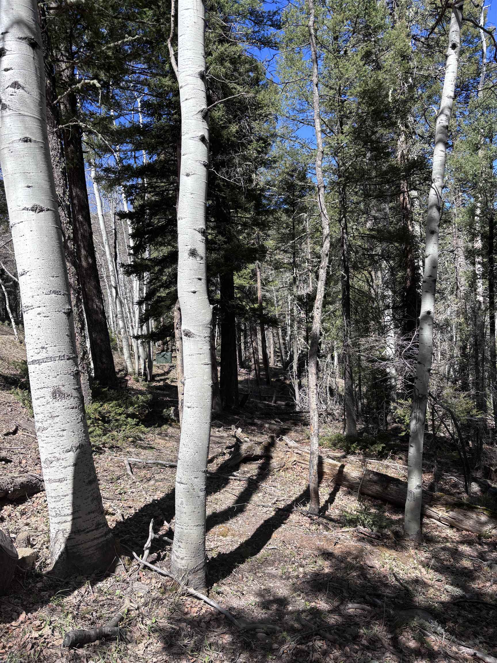 Lot 832 Via Del Rey, Angel Fire, New Mexico image 9