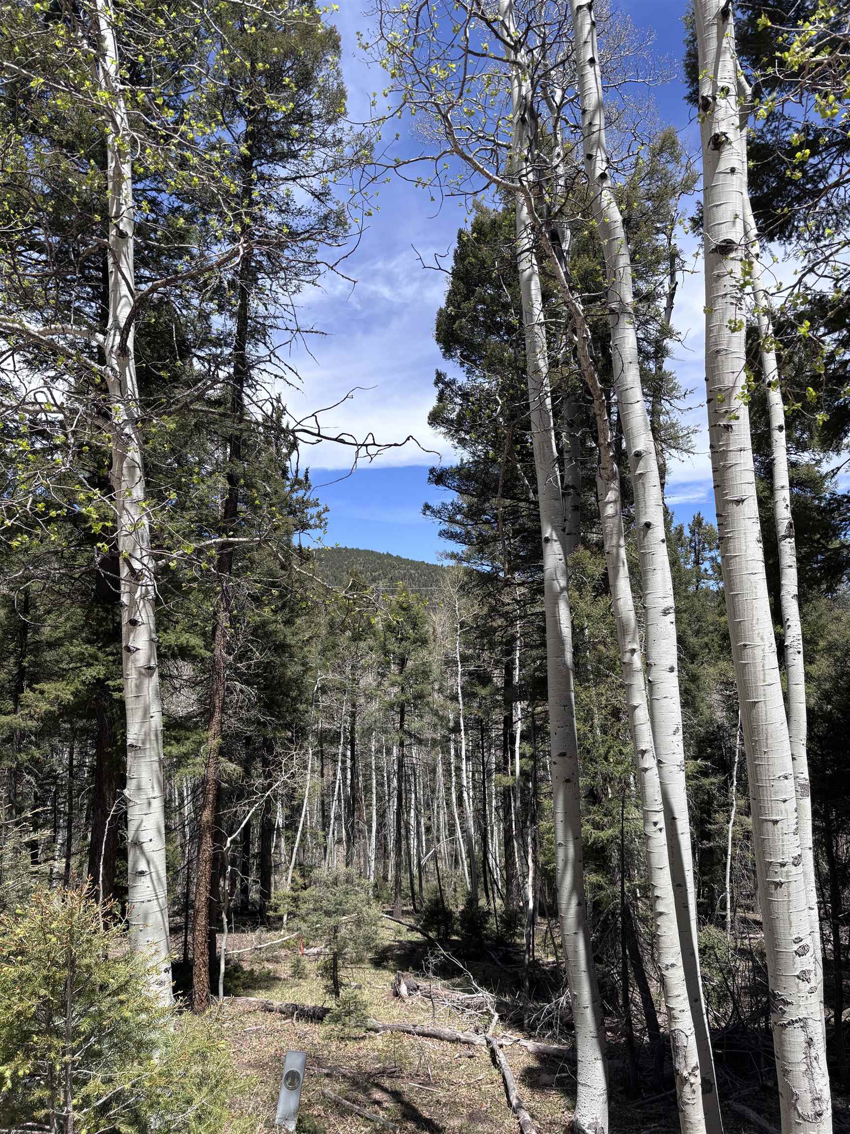 Lot 832 Via Del Rey, Angel Fire, New Mexico image 2
