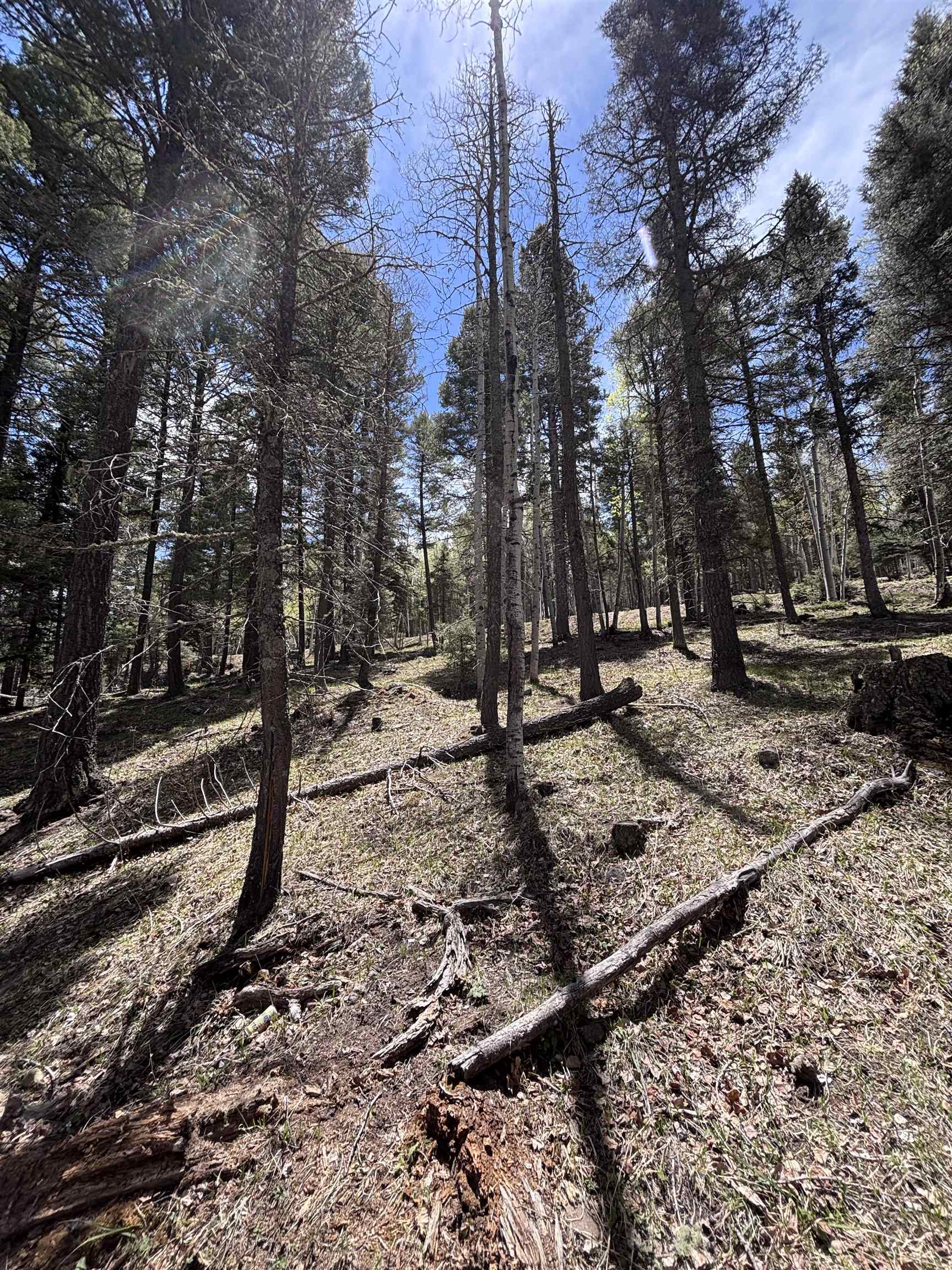 Lot 832 Via Del Rey, Angel Fire, New Mexico image 5