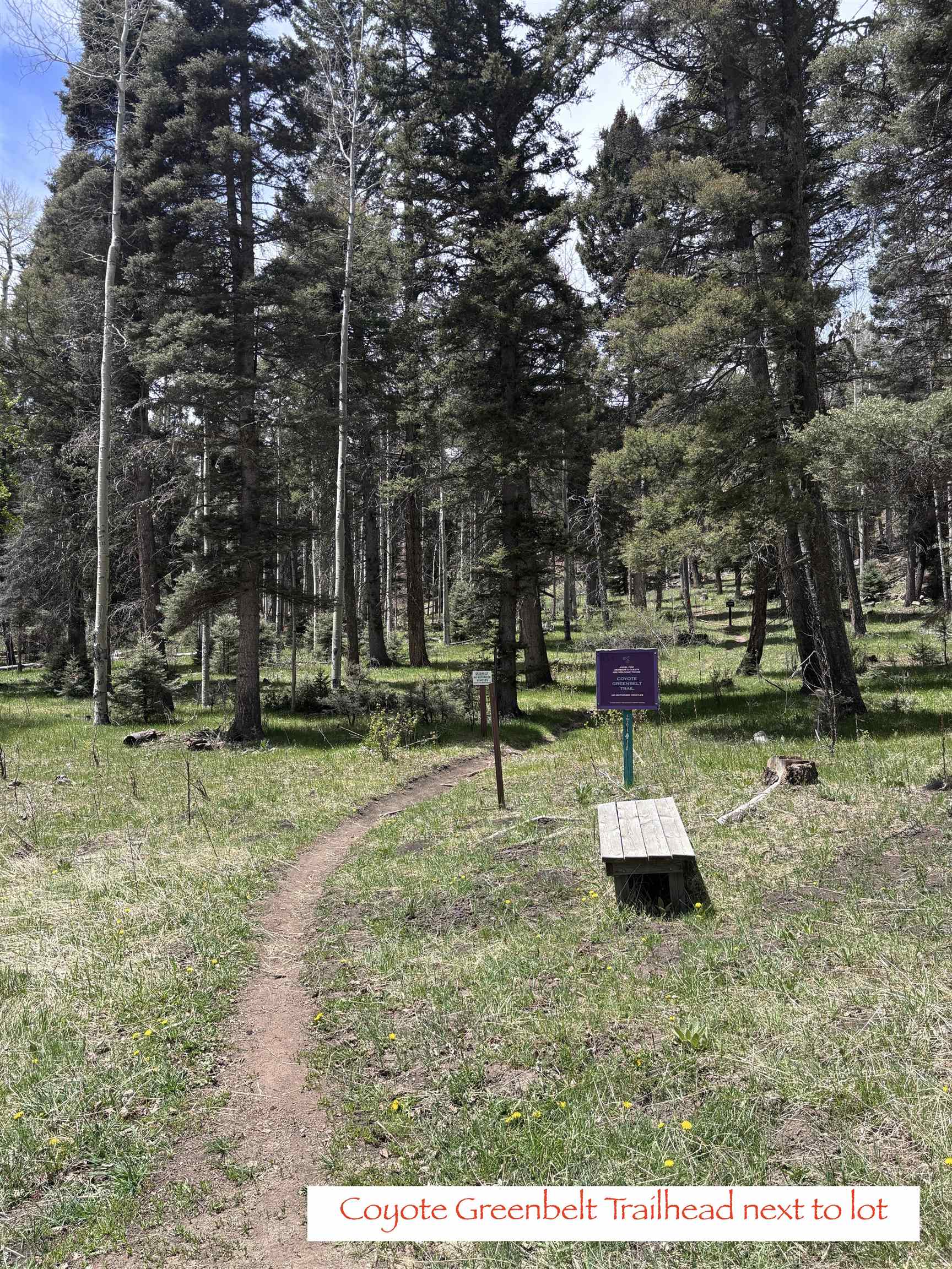 Lot 832 Via Del Rey, Angel Fire, New Mexico image 15