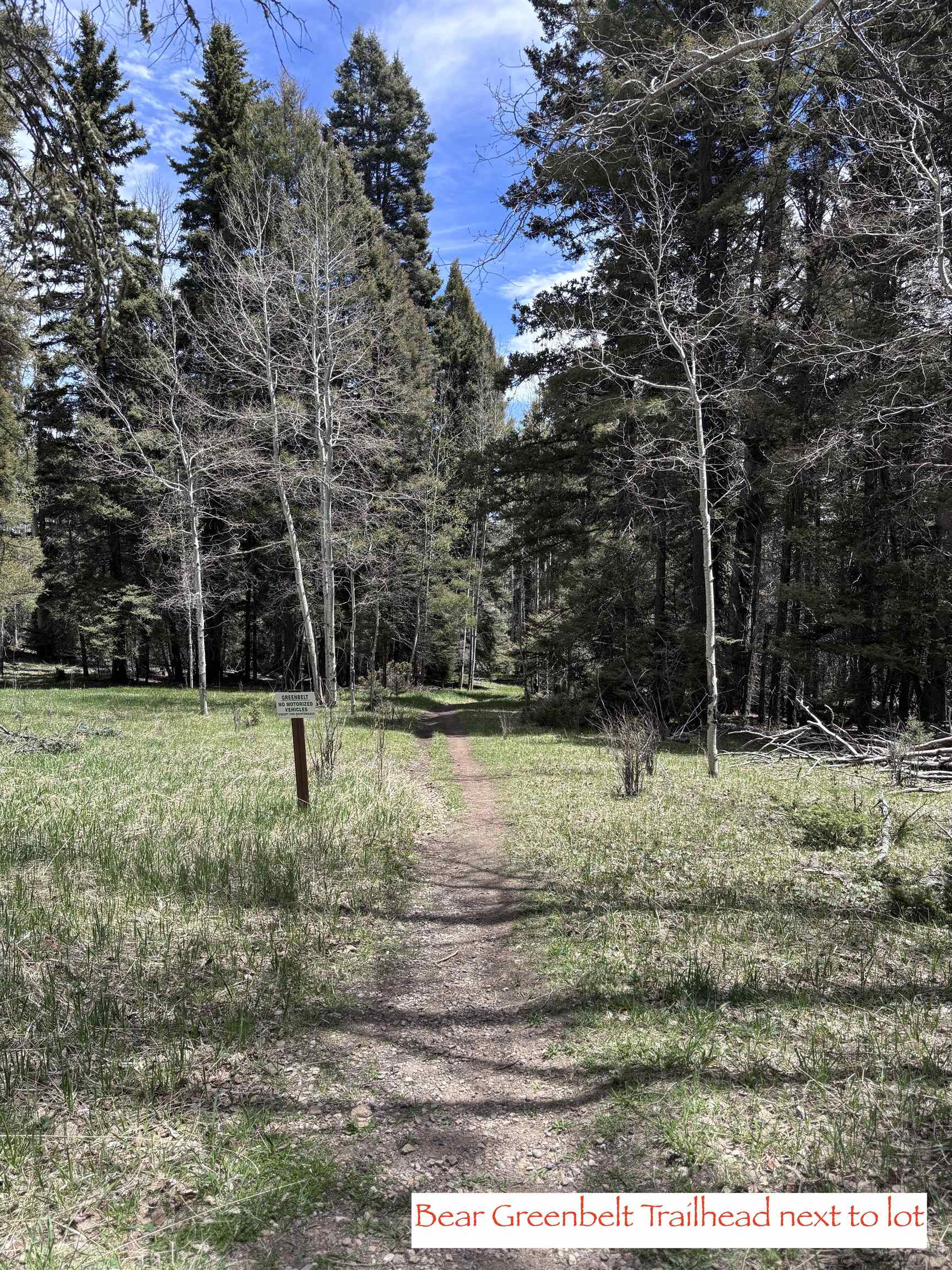 Lot 832 Via Del Rey, Angel Fire, New Mexico image 14