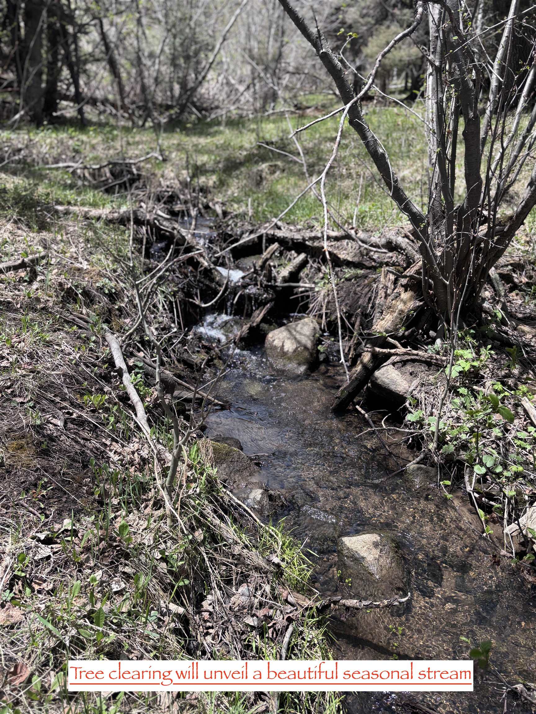 Lot 832 Via Del Rey, Angel Fire, New Mexico image 11