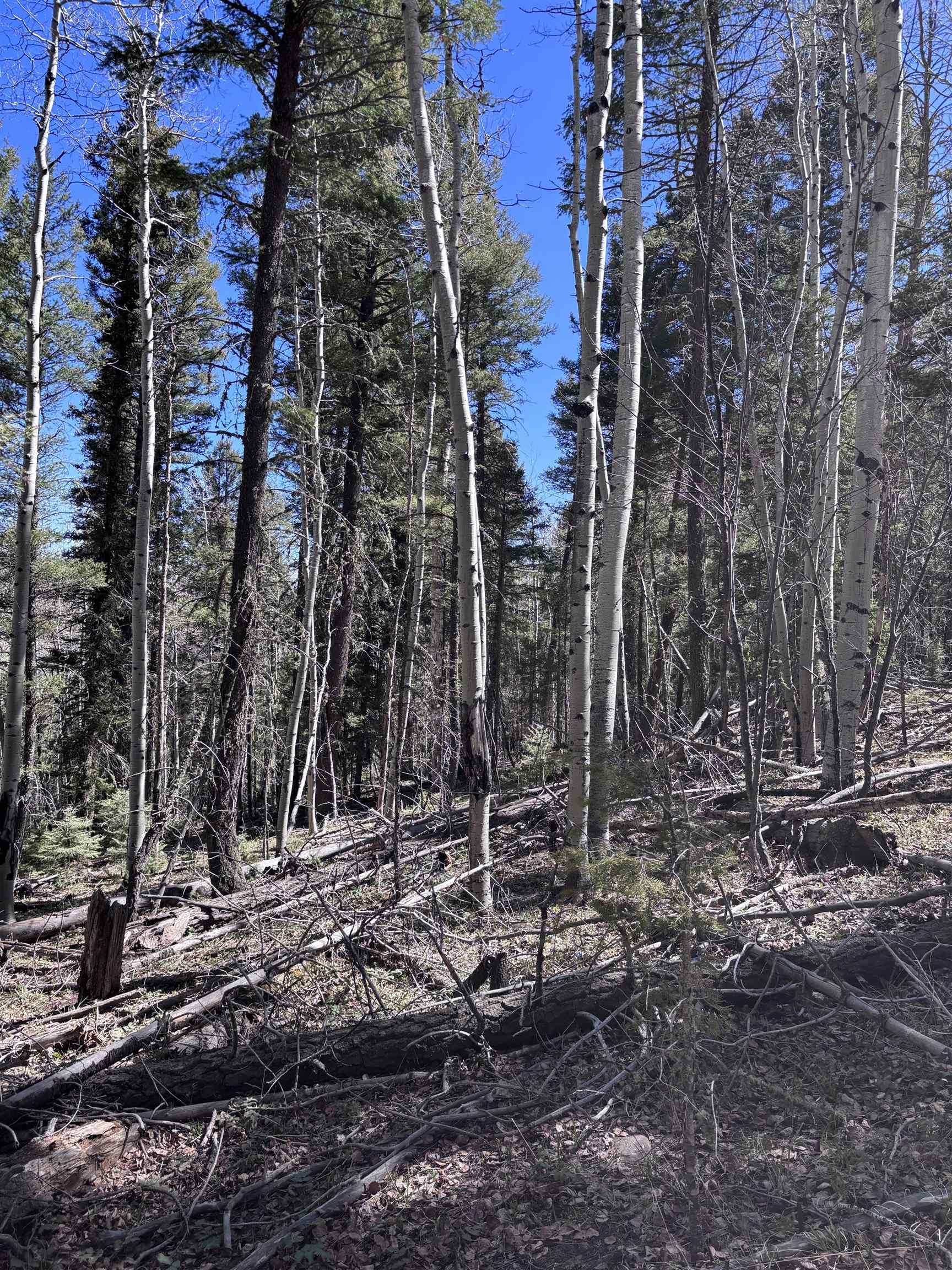 Lot 832 Via Del Rey, Angel Fire, New Mexico image 6