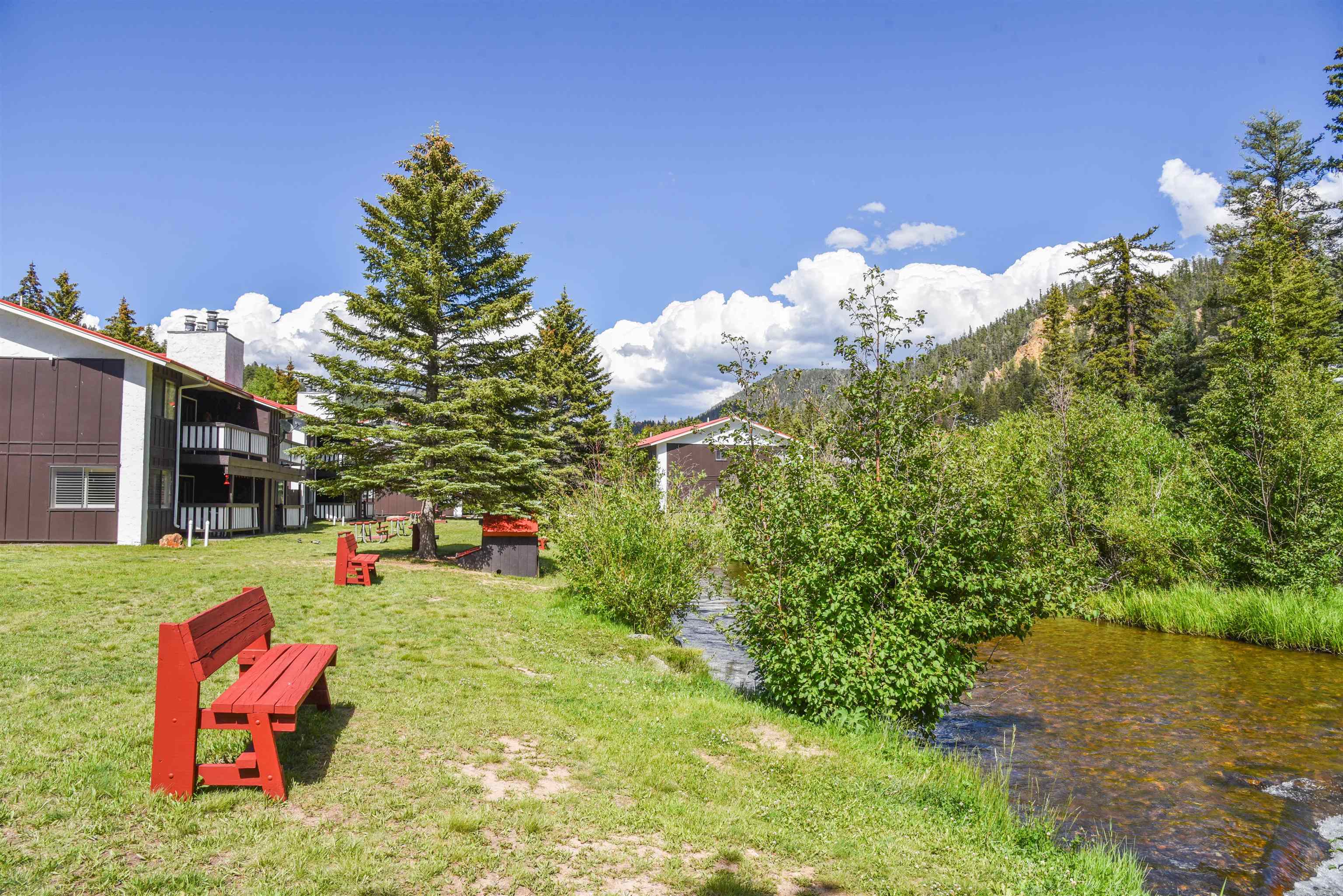 1301 Main Street #2-3, Red River, New Mexico image 15