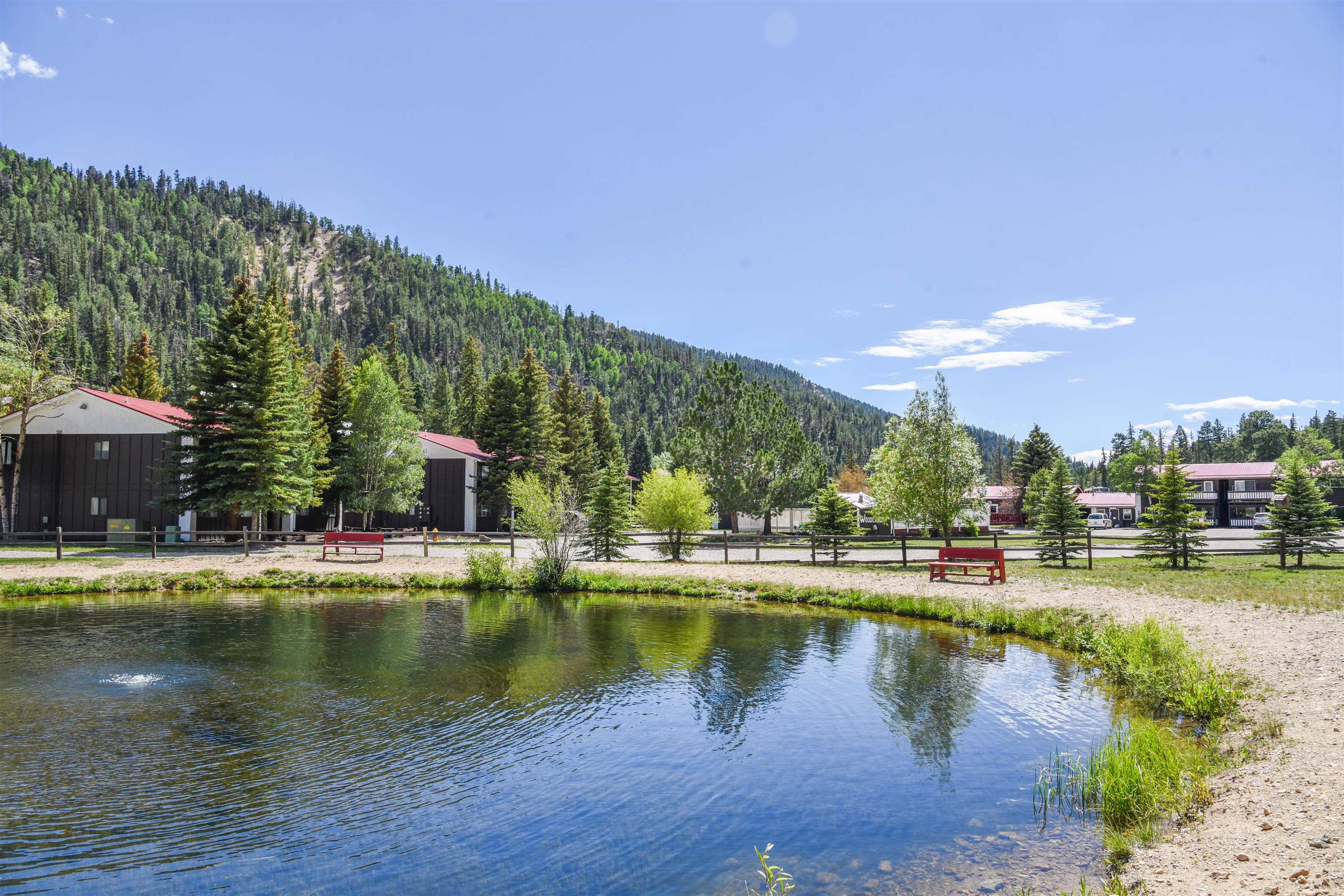 1301 Main Street #2-3, Red River, New Mexico image 23