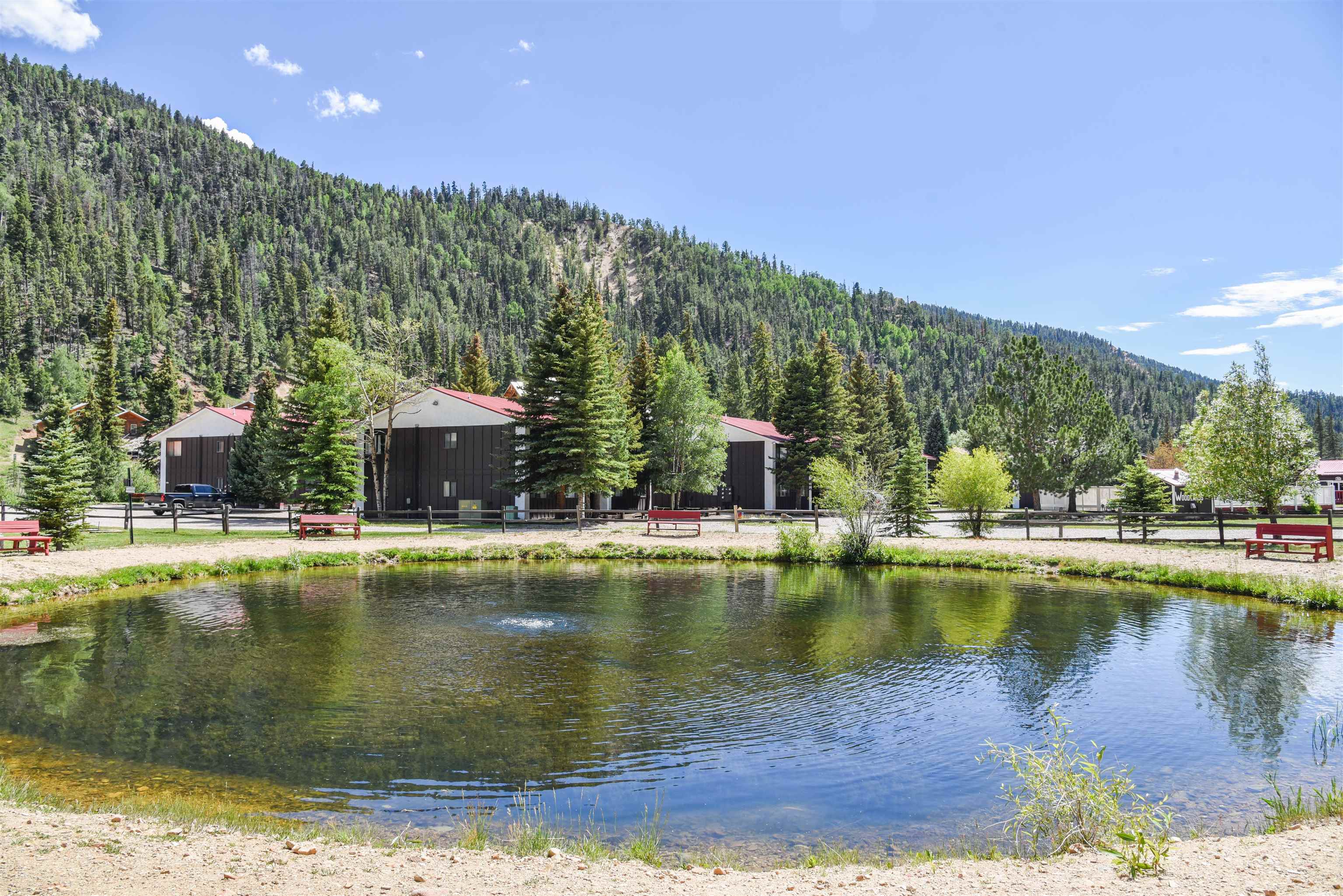 1301 Main Street #2-3, Red River, New Mexico image 24