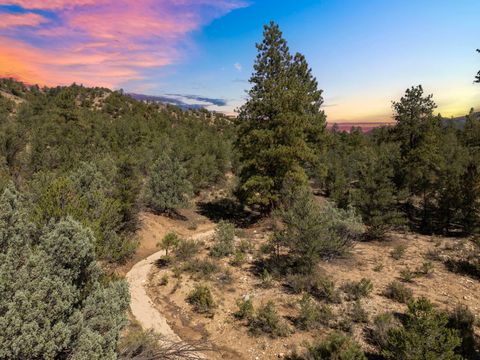 Vacant Land For Sale - Canoncito Lane Turley Mill Lot 7<br/> Arroyo Hondo, NM 87513