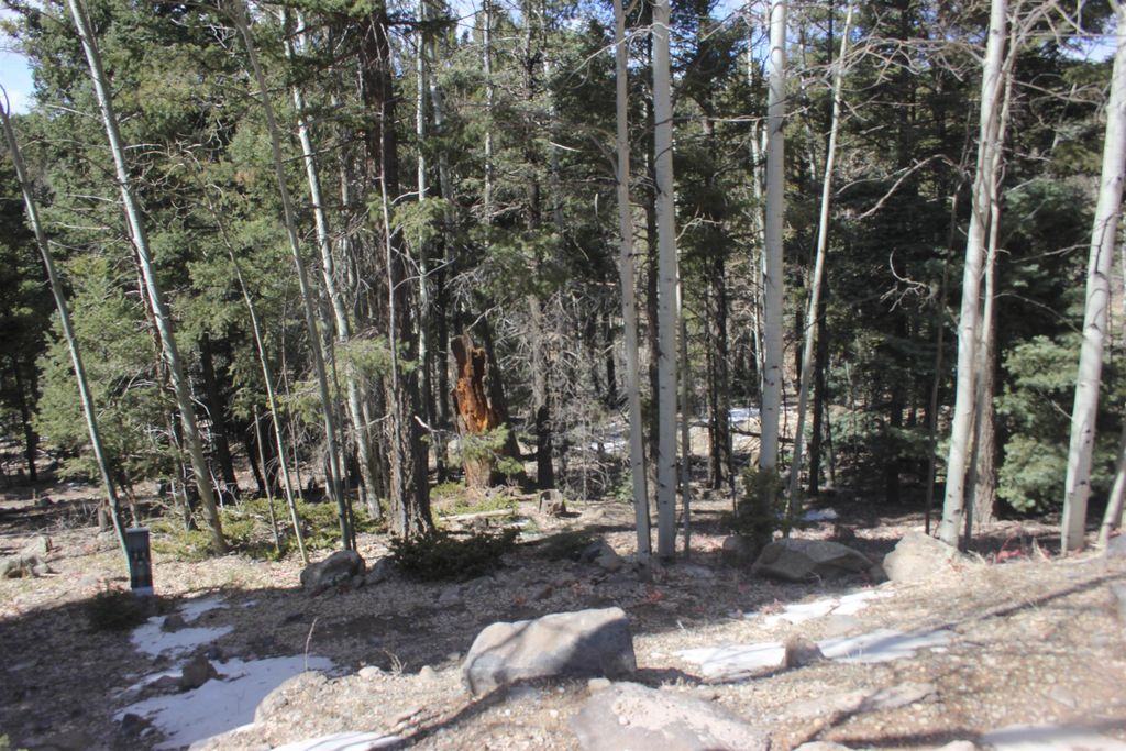 Photo of lot 264 El Camino Real, Angel Fire, NM 87710 (MLS # 112957)