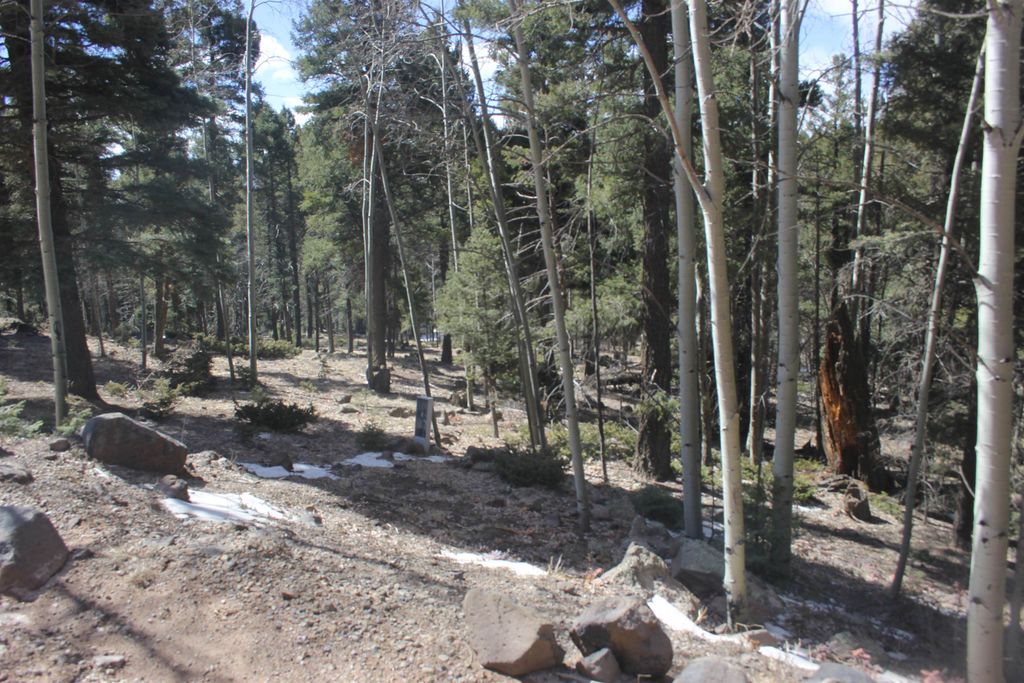 Photo of lot 264 El Camino Real, Angel Fire, NM 87710 (MLS # 112957)