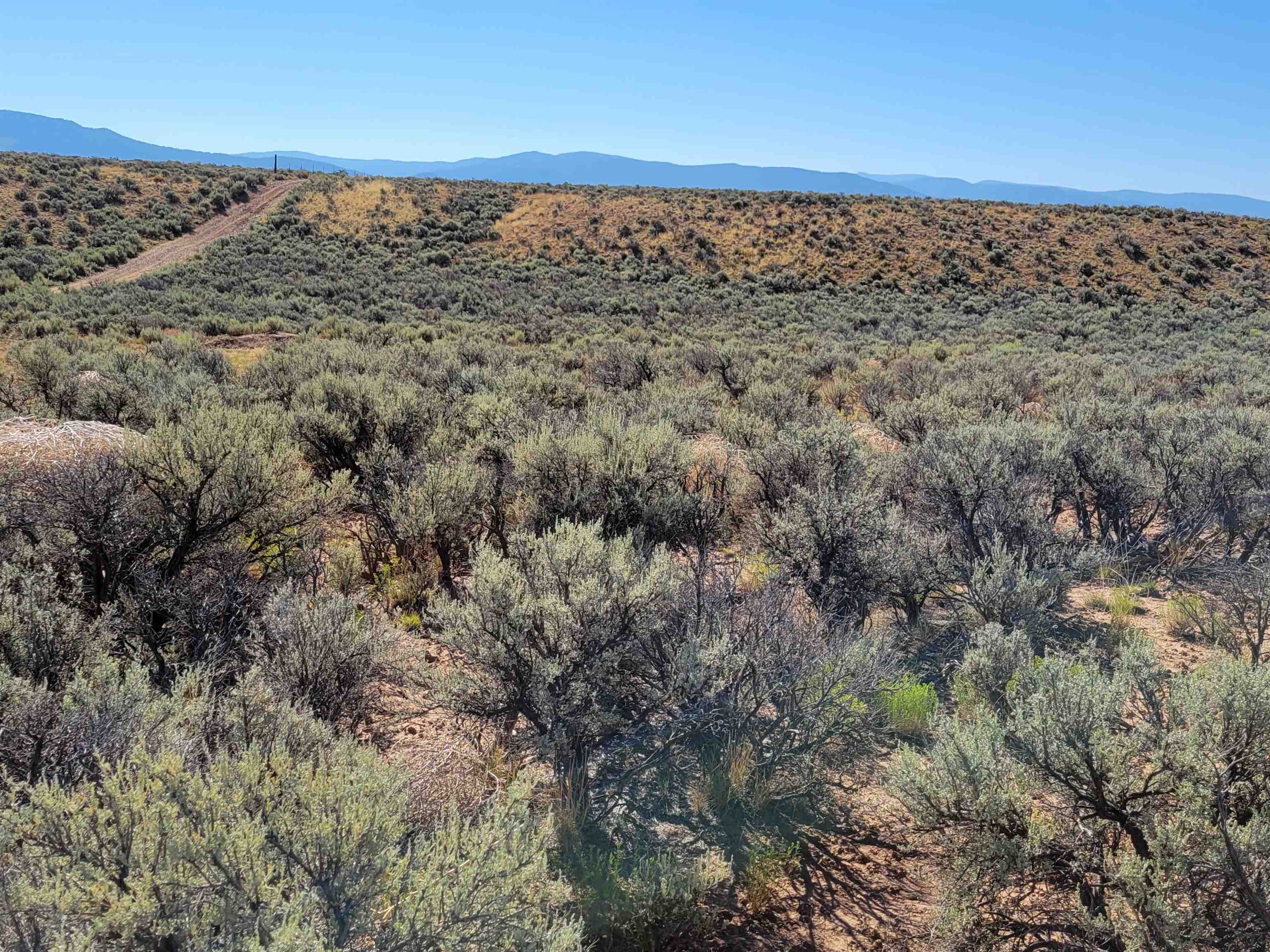 Santistevan Road, El Prado, New Mexico image 7