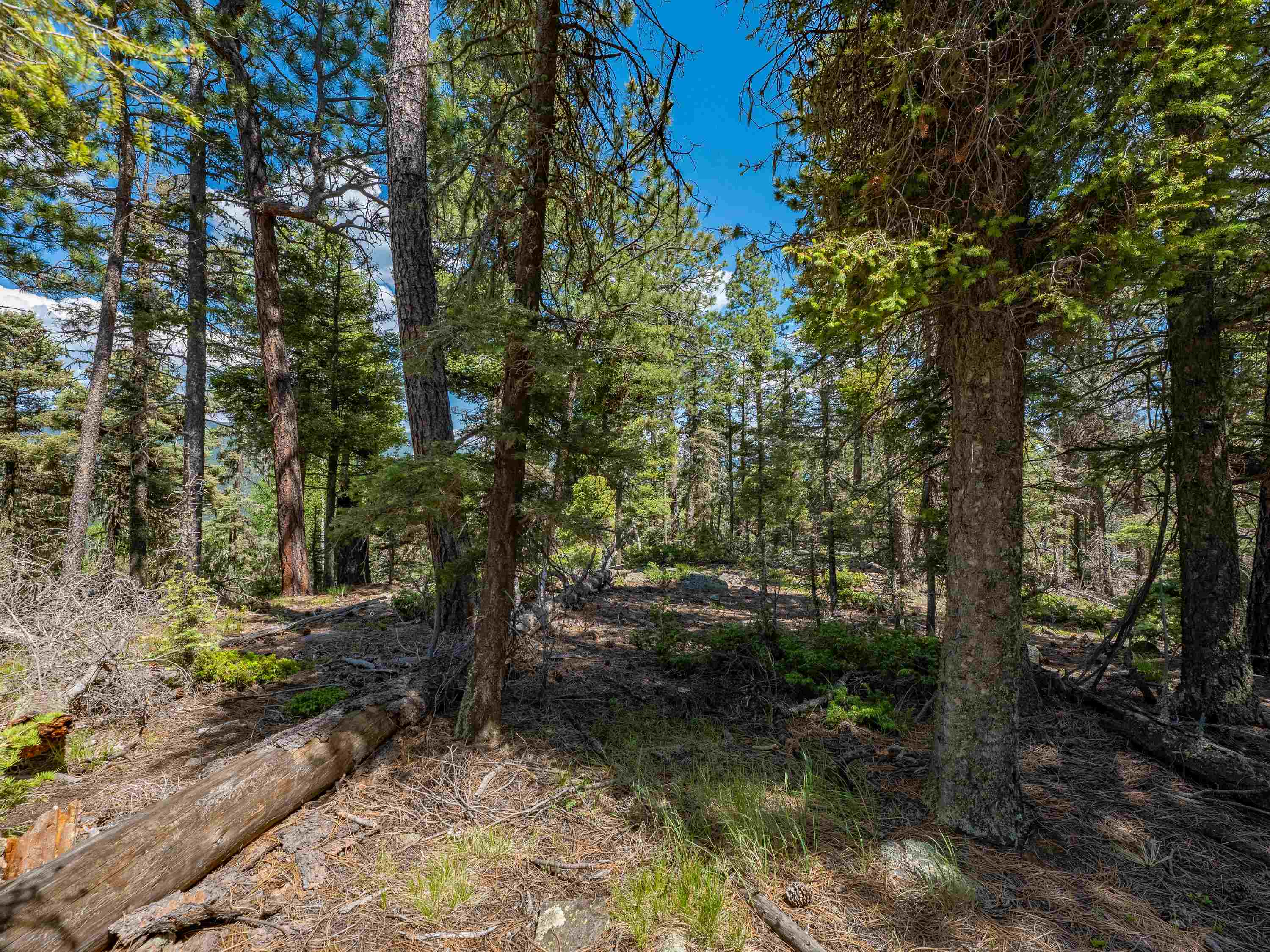 Lot 97 Zia Rd, Angel Fire, New Mexico image 23