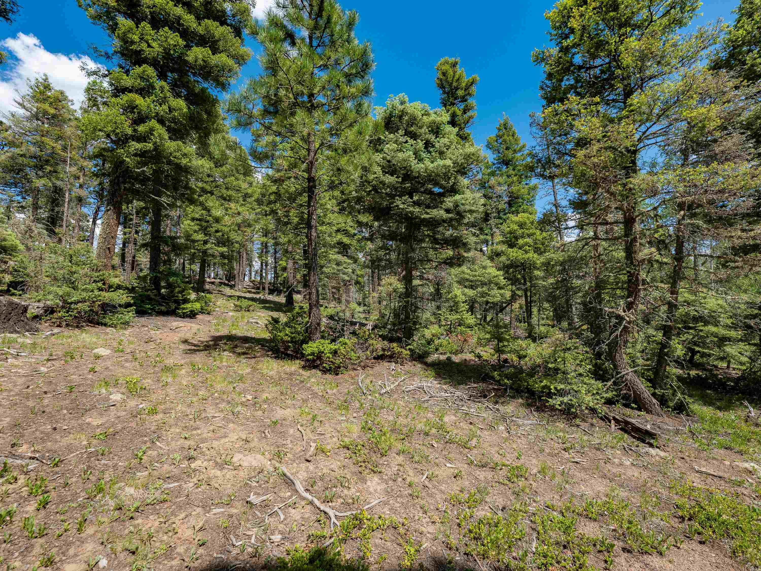 Lot 97 Zia Rd, Angel Fire, New Mexico image 10