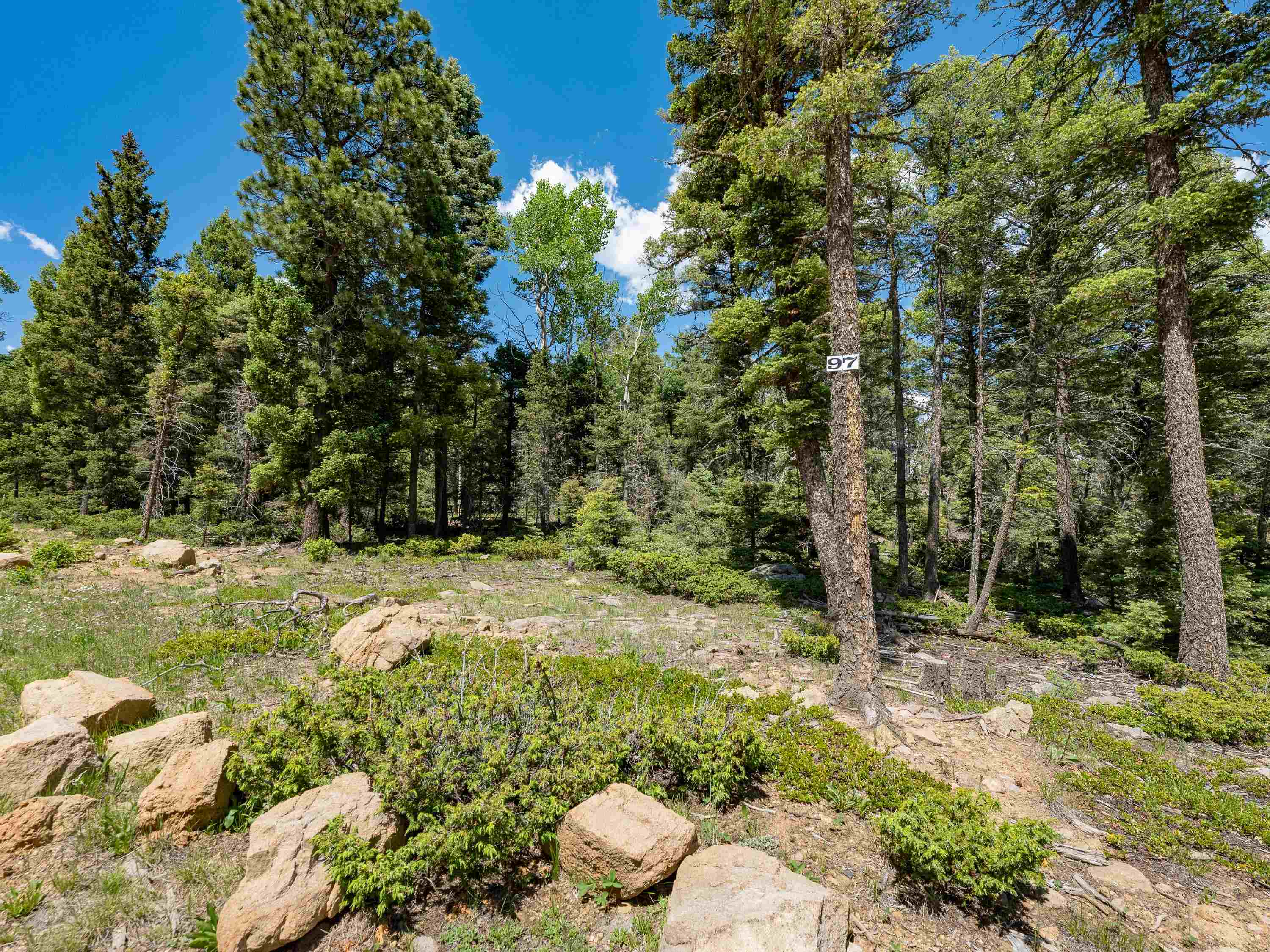 Lot 97 Zia Rd, Angel Fire, New Mexico image 6