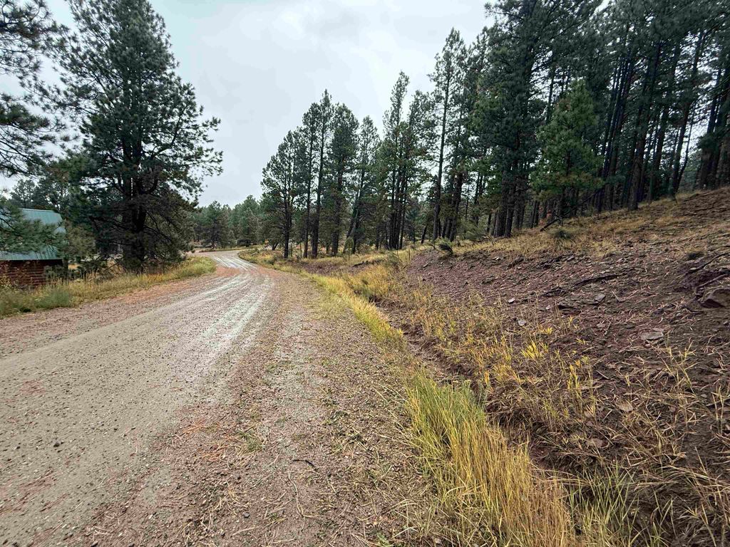 Photo of Lot 86 Mammoth Mountain Rd, Angel Fire, NM 87710 (MLS # 114250)