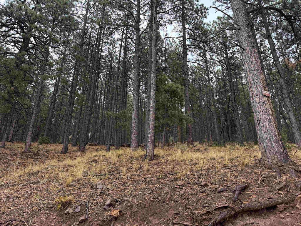 Photo of Lot 86 Mammoth Mountain Rd, Angel Fire, NM 87710 (MLS # 114250)
