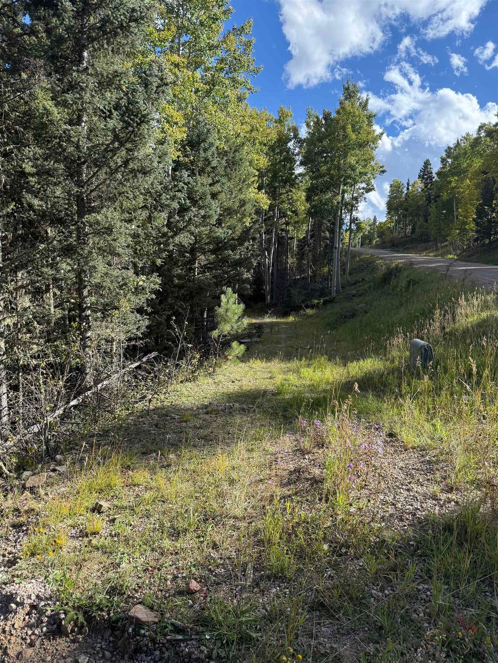 Photo of Lot 77 Via De Maria, Angel Fire, NM 87710 (MLS # 114069)