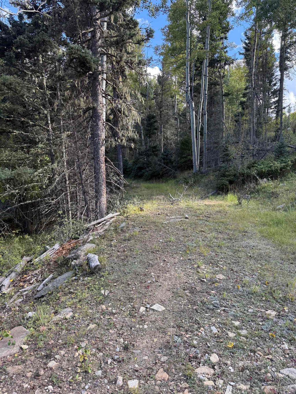 Photo of Lot 77 Via De Maria, Angel Fire, NM 87710 (MLS # 114069)
