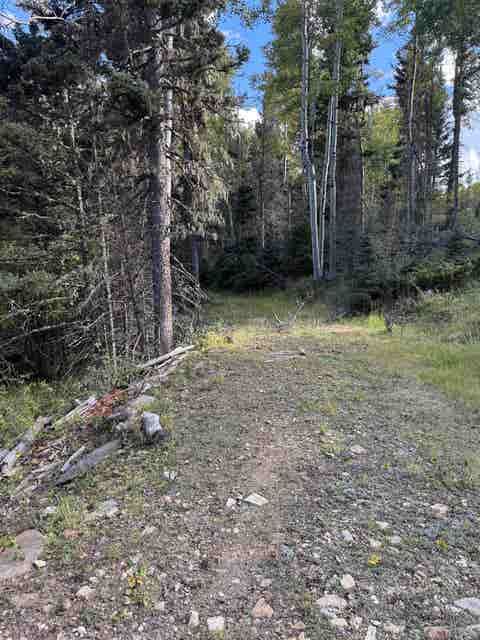 Vacant Land For Sale - LOT 77 Via De Maria<br/> Angel Fire, NM 87710