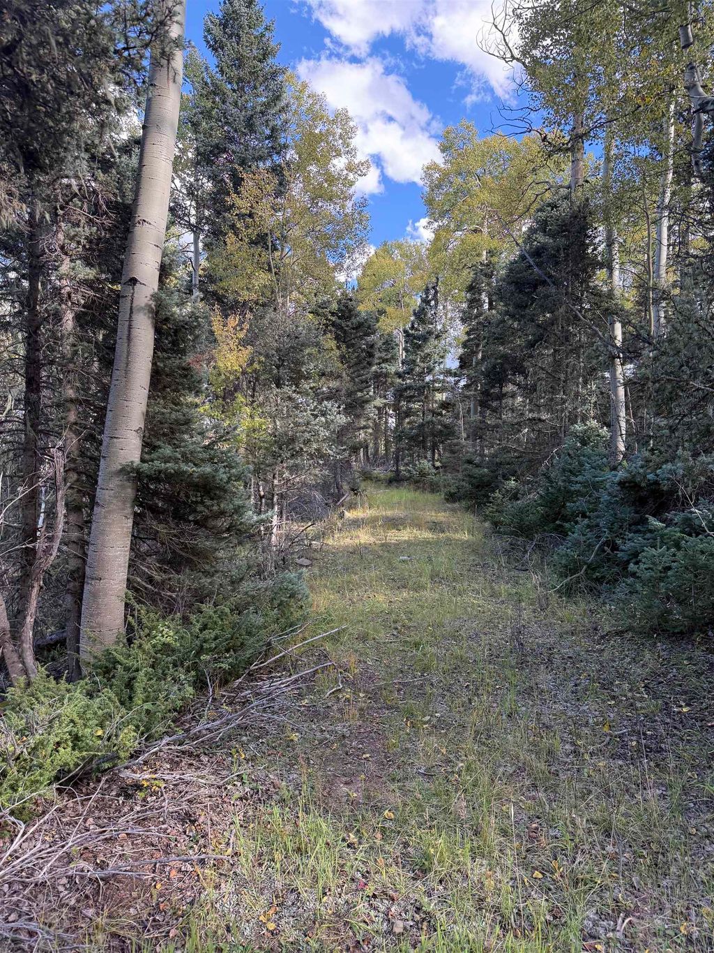 Photo of Lot 77 Via De Maria, Angel Fire, NM 87710 (MLS # 114069)