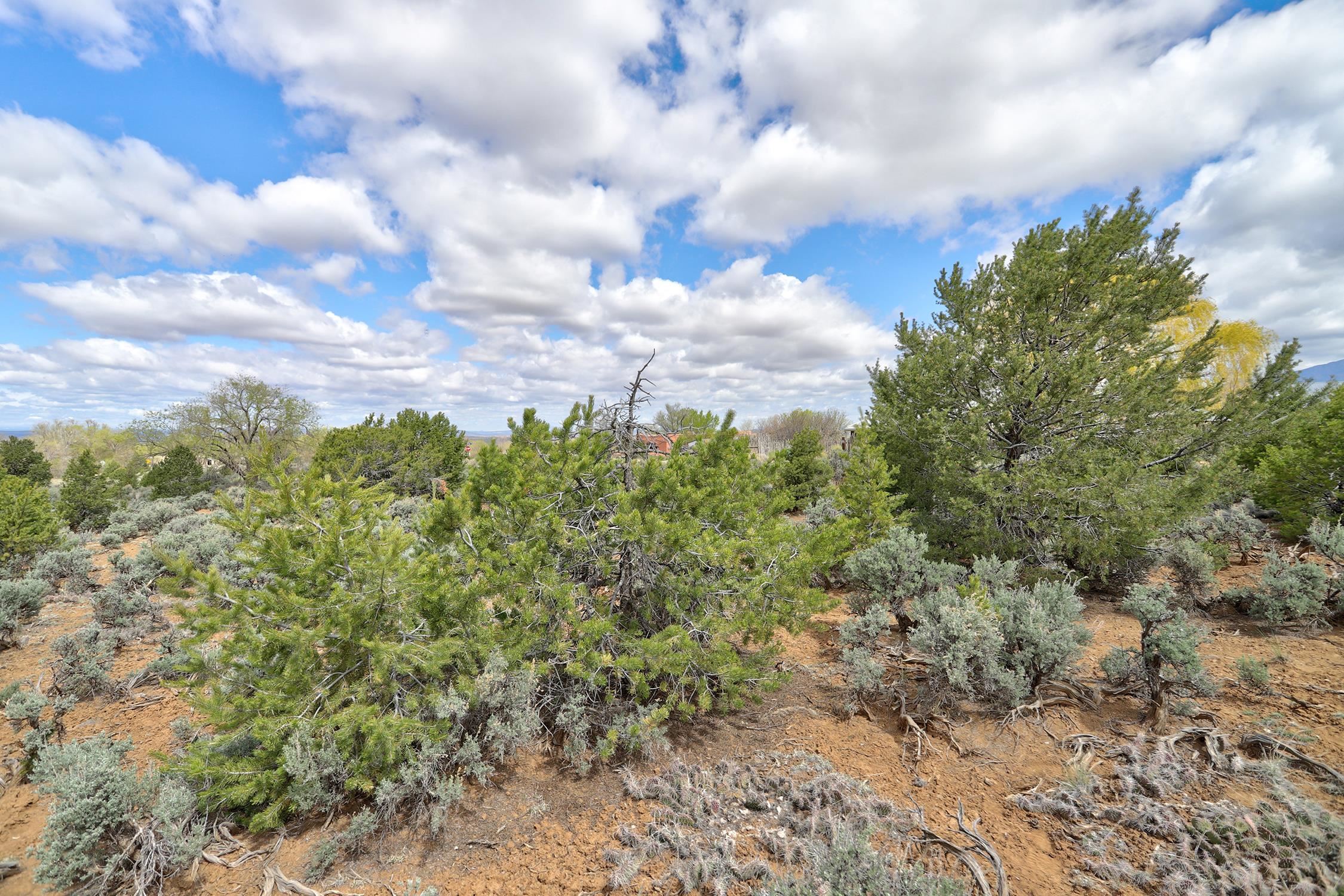 TBD Espinoza Rd, Ranchos de Taos, New Mexico image 19