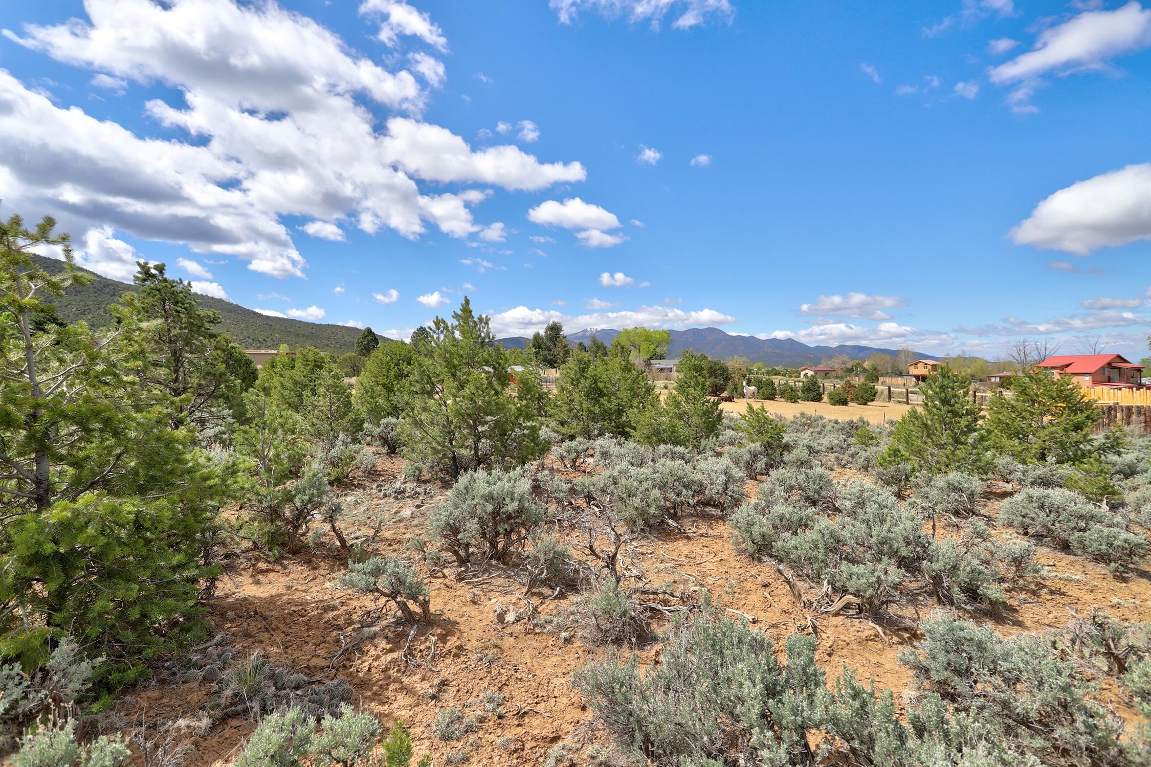 TBD Espinoza Rd, Ranchos de Taos, New Mexico image 18