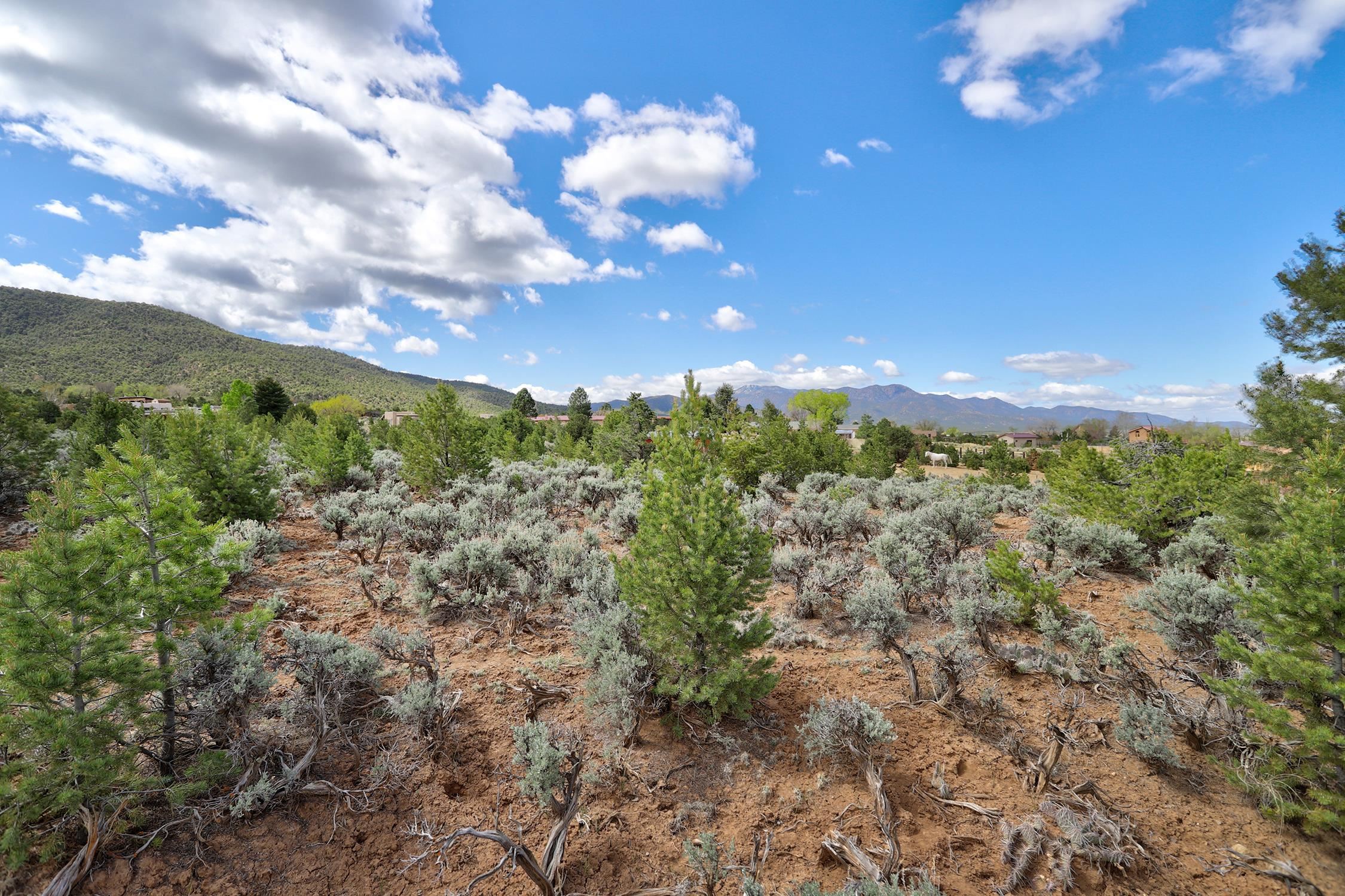 TBD Espinoza Rd, Ranchos de Taos, New Mexico image 12