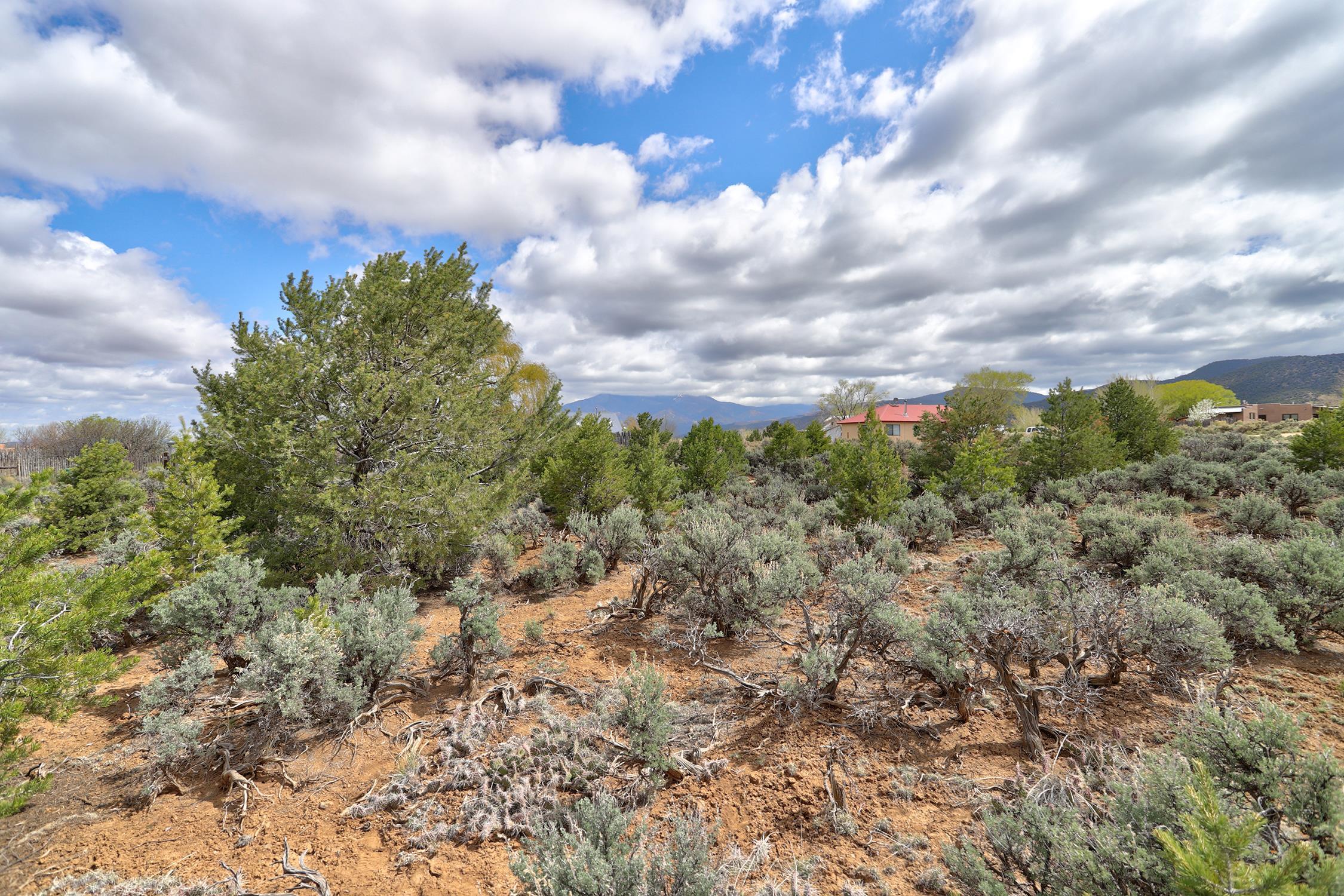 TBD Espinoza Rd, Ranchos de Taos, New Mexico image 20