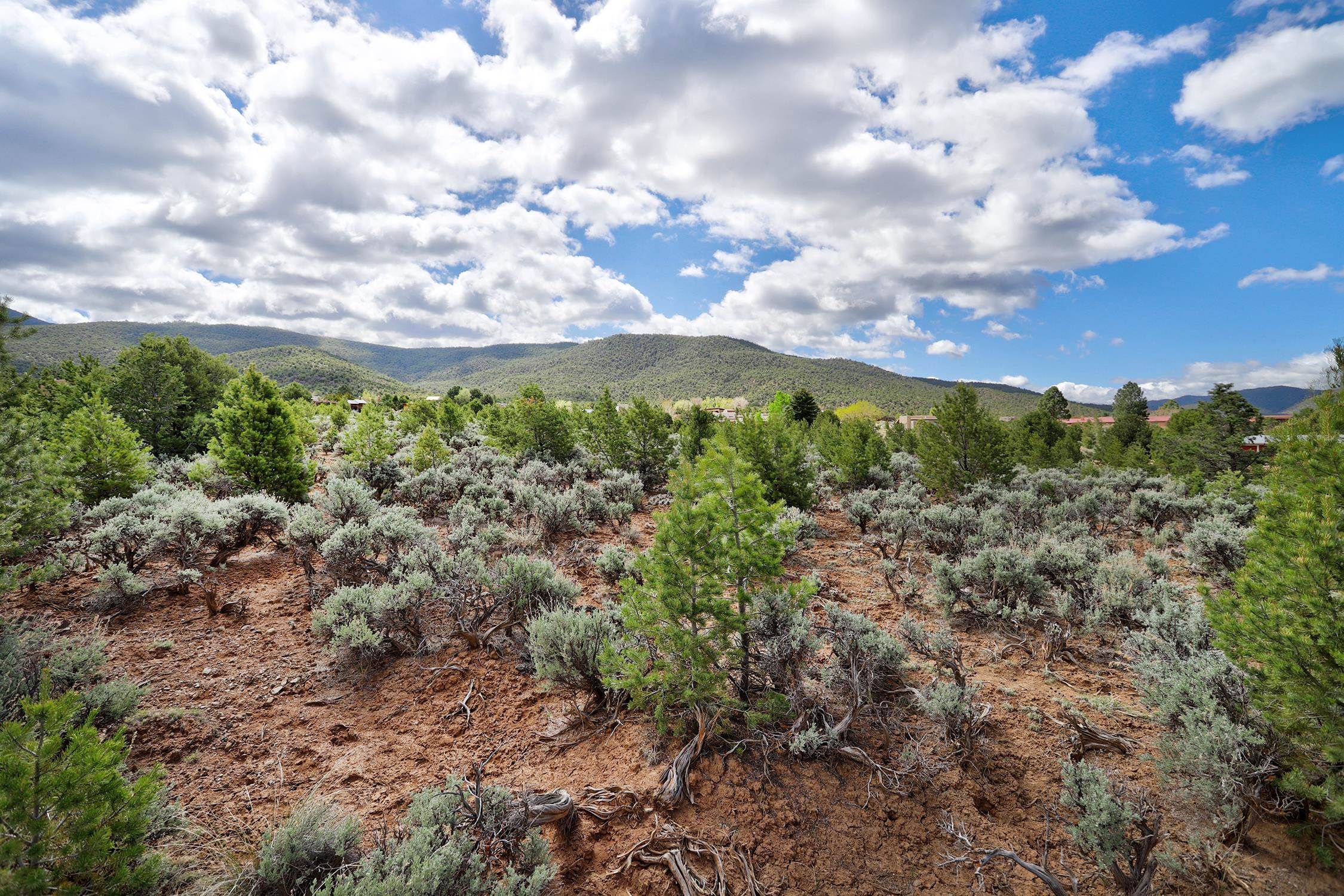 TBD Espinoza Rd, Ranchos de Taos, New Mexico image 11