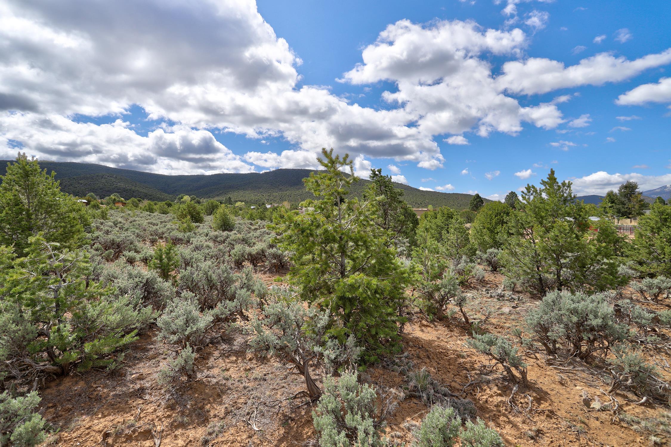 TBD Espinoza Rd, Ranchos de Taos, New Mexico image 17