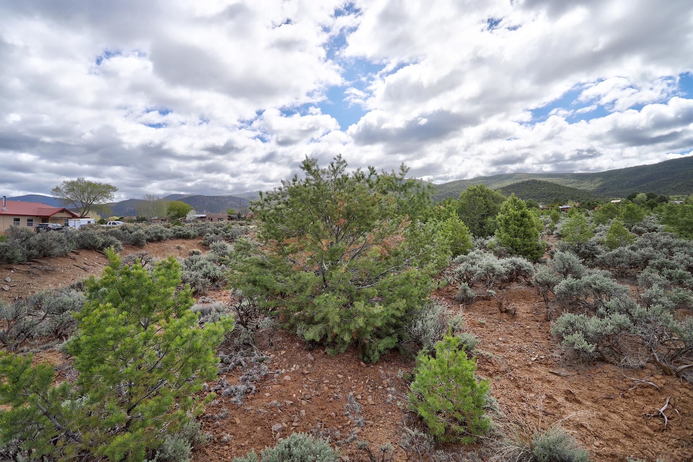 TBD Espinoza Rd, Ranchos de Taos, New Mexico image 14