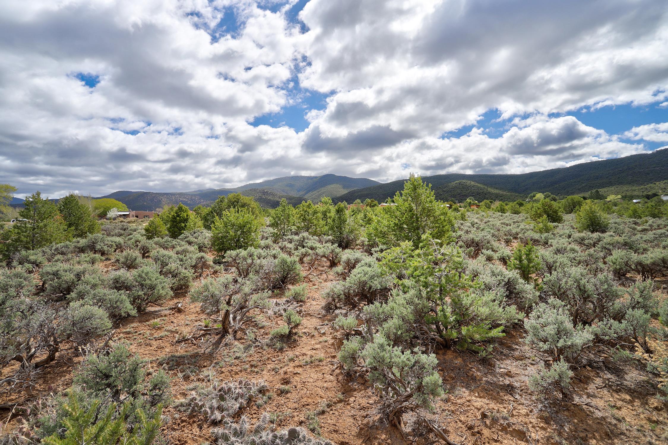 TBD Espinoza Rd, Ranchos de Taos, New Mexico image 15