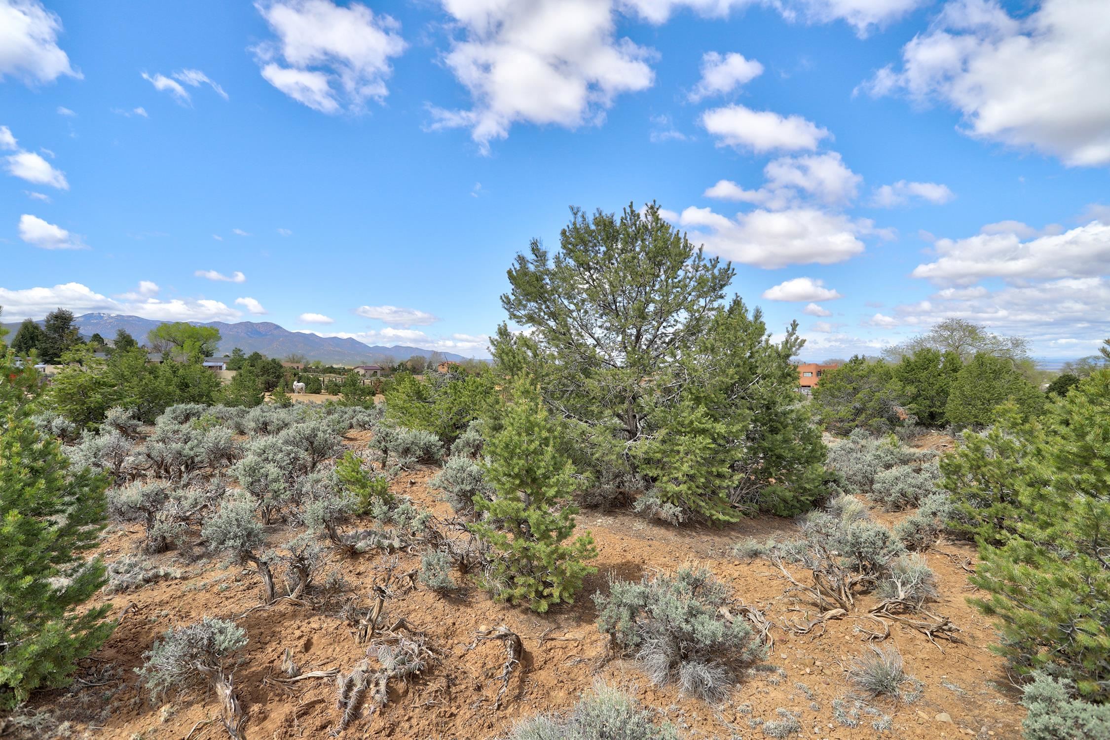 TBD Espinoza Rd, Ranchos de Taos, New Mexico image 10