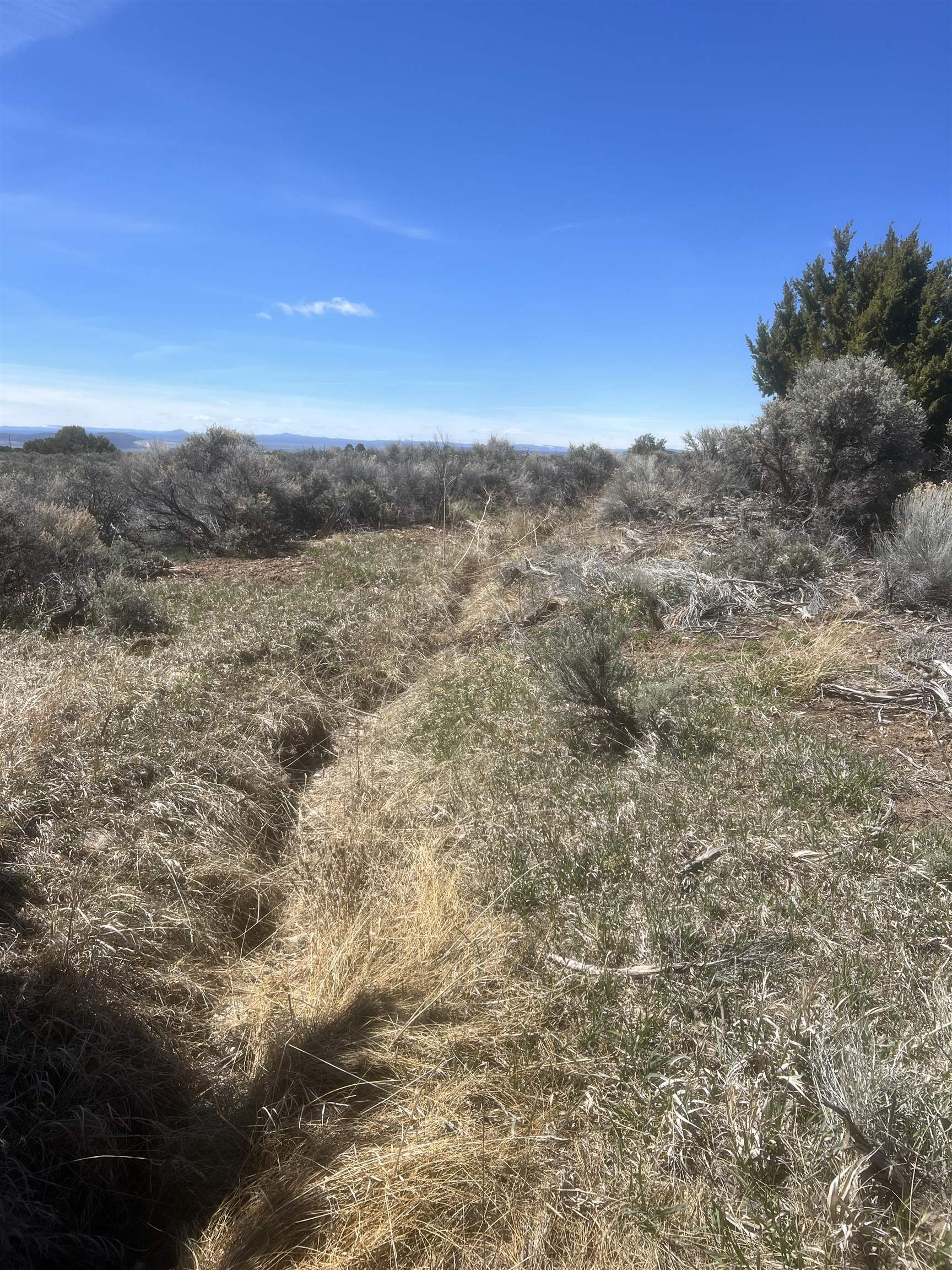 37 Mariposa, Arroyo Seco, New Mexico image 4