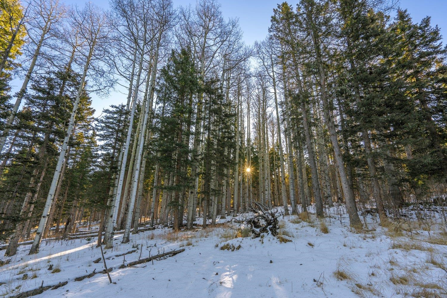 Lot 64 Mertz Place, Angel Fire, New Mexico image 1