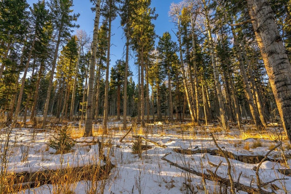 Photo of Lot 64 Mertz Place, Angel Fire, NM 87710 (MLS # 111240)