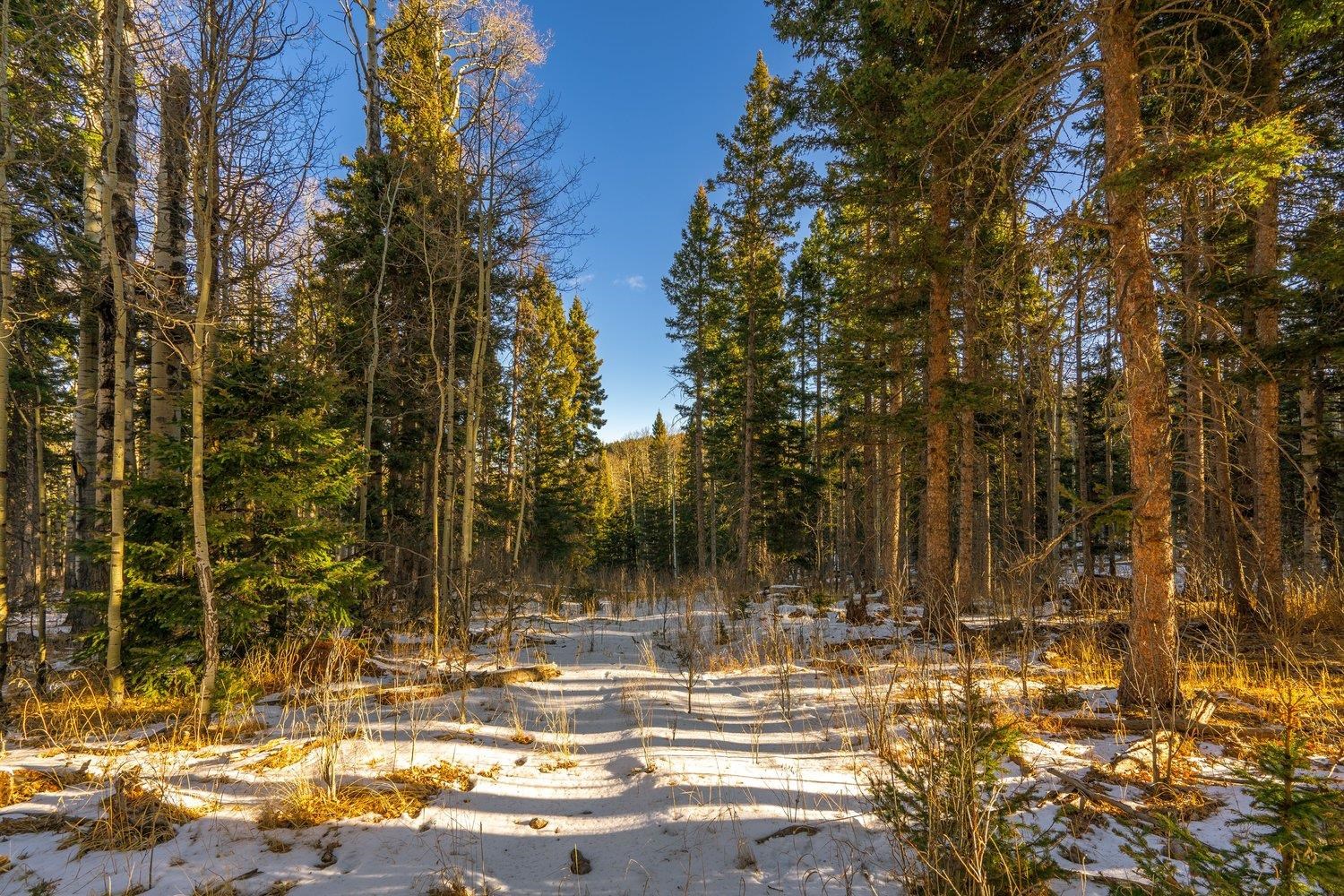 Lot 64 Mertz Place, Angel Fire, New Mexico image 7