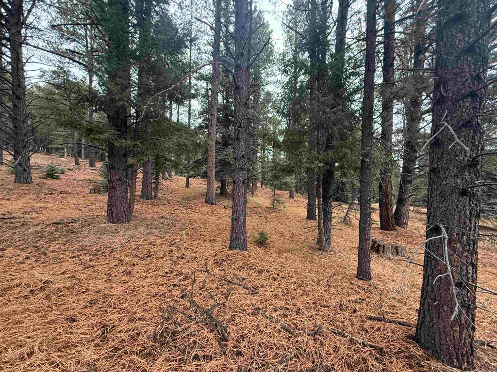 Photo of Lot 37 S Valle Grande Trl, Angel Fire, NM 87710 (MLS # 114309)