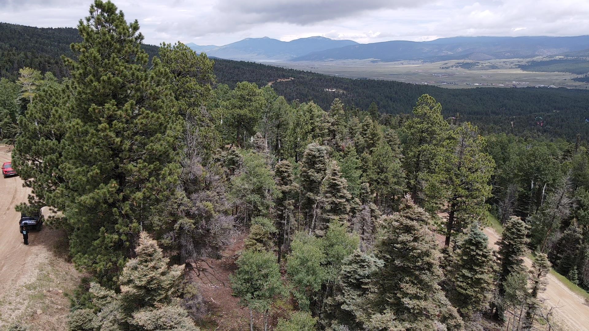 Lot 42 Alcade Rd, Angel Fire, New Mexico image 7