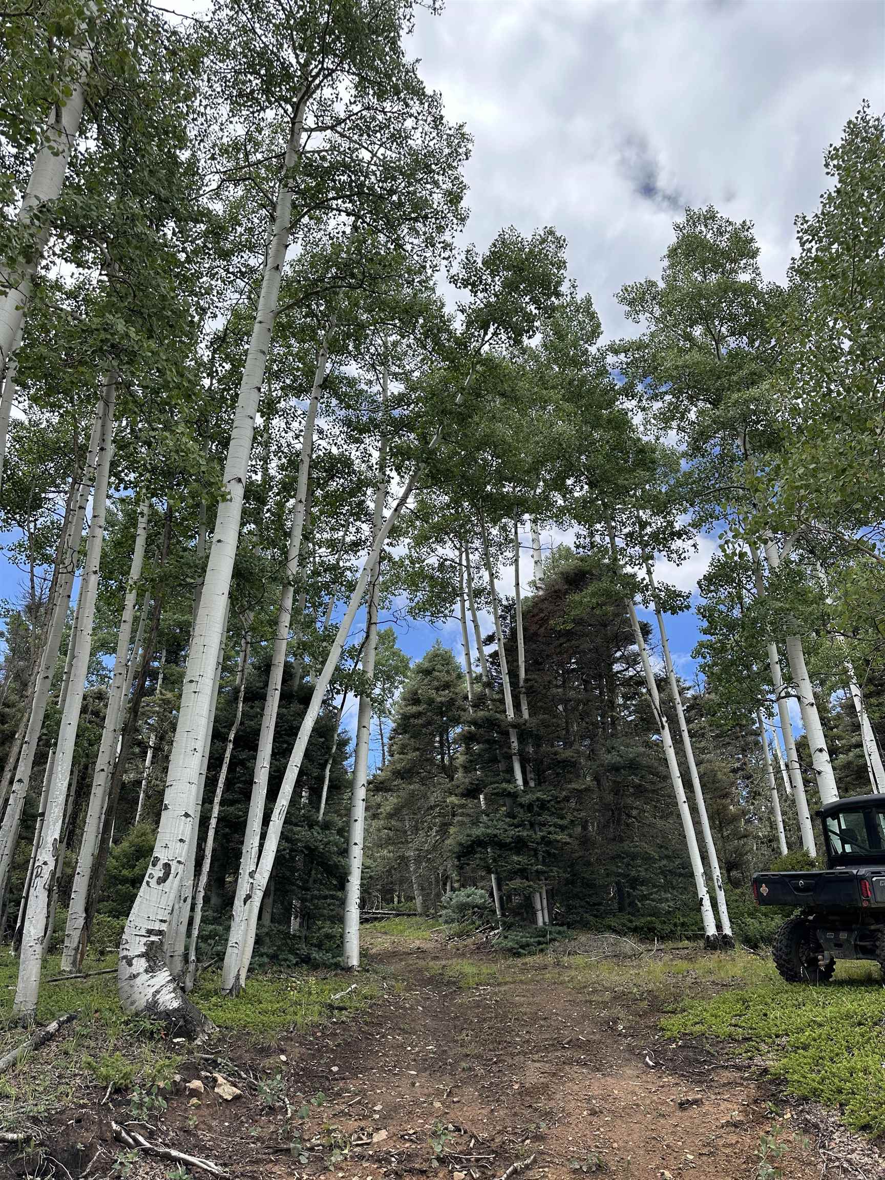 Lot 42 Alcade Rd, Angel Fire, New Mexico image 2