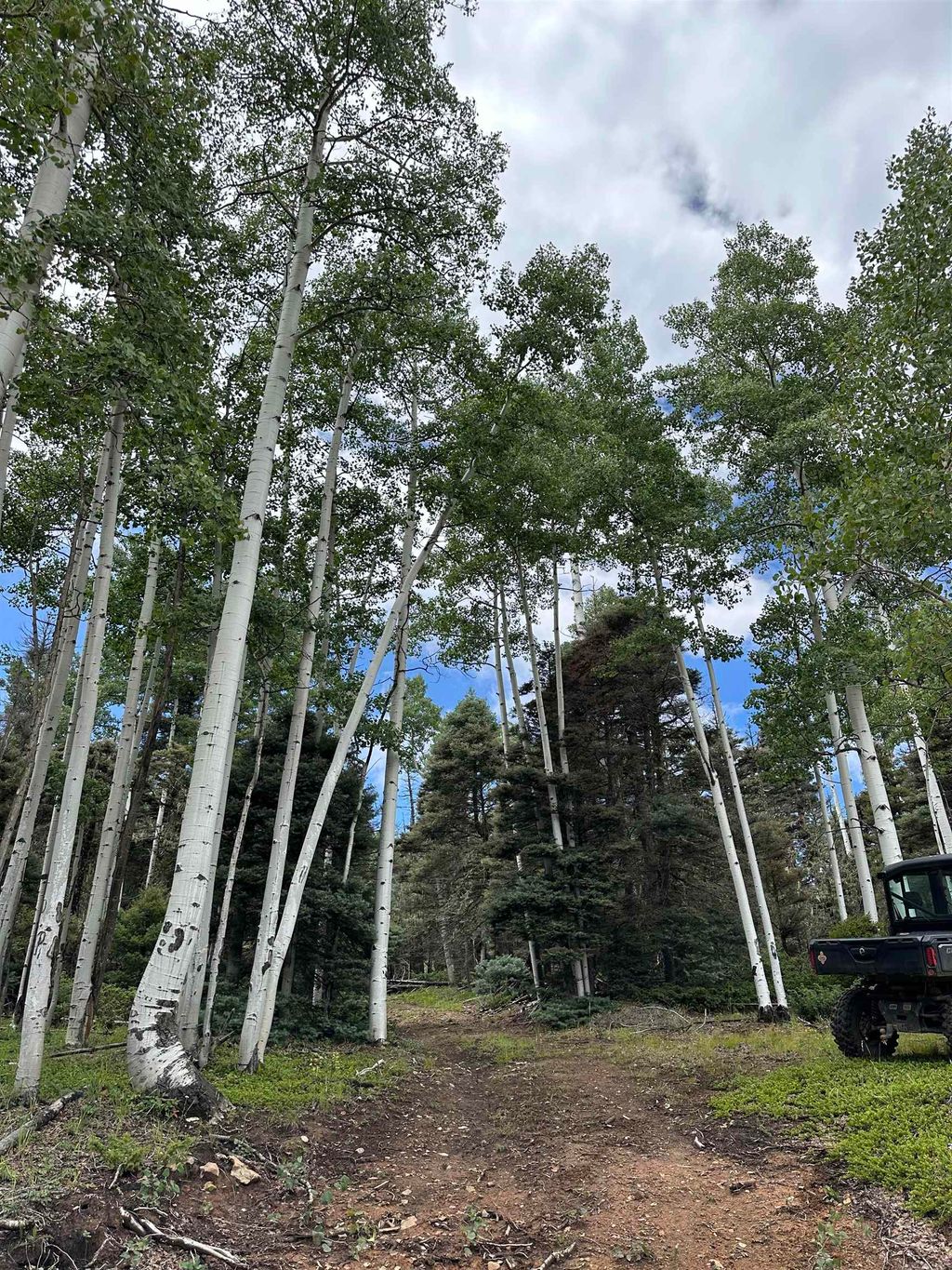 Photo of Lot 42 Alcalde, Angel Fire, NM 87710 (MLS # 112199)