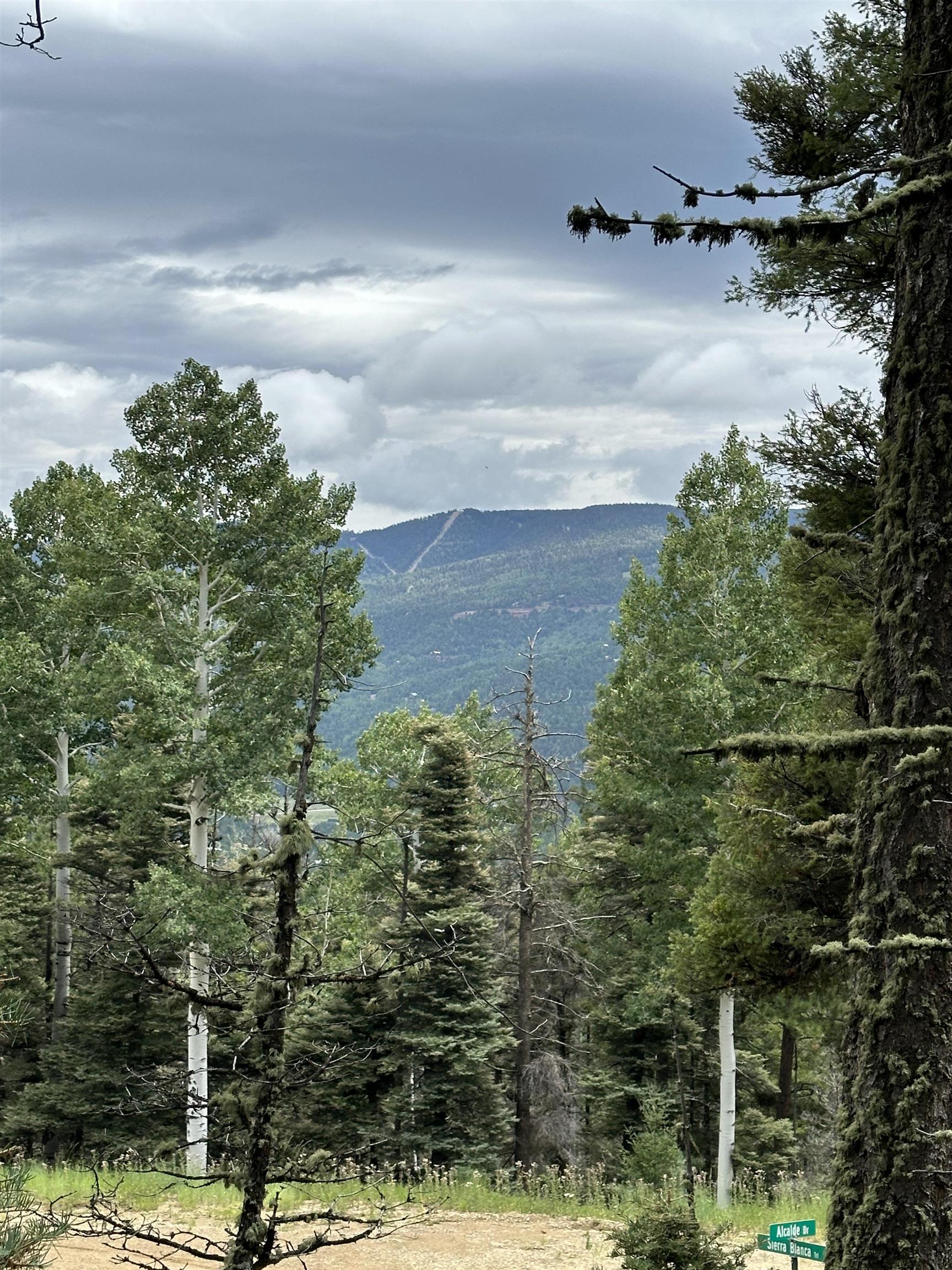 Lot 42 Alcade Rd, Angel Fire, New Mexico image 5